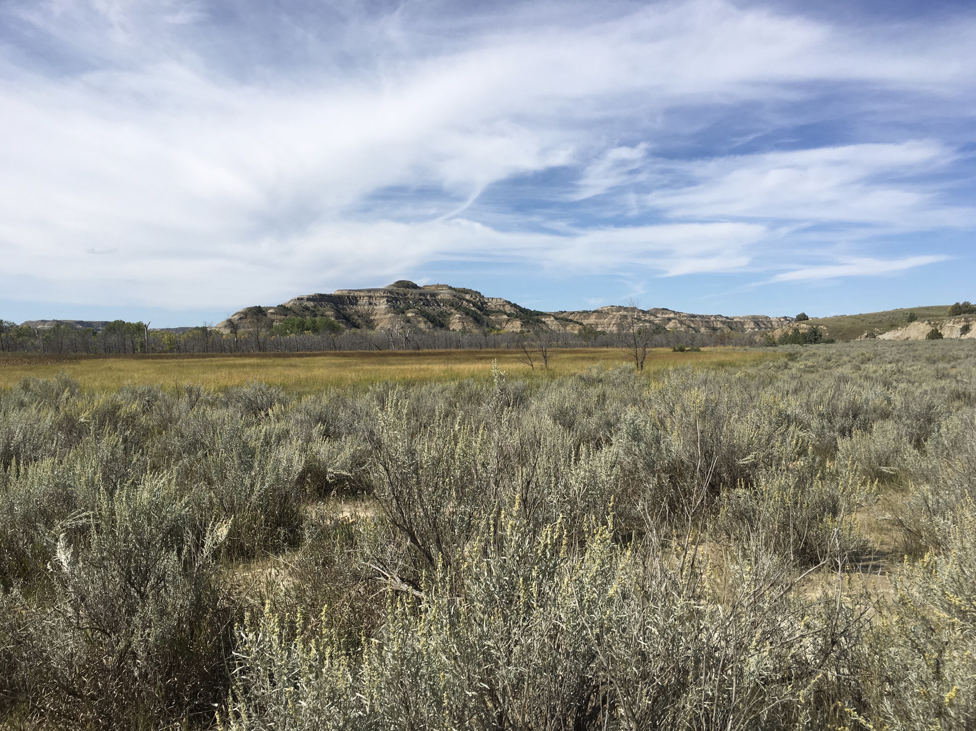 fullsizeoutput_1eef3