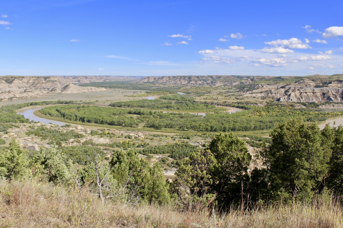 fullsizeoutput_1ef02