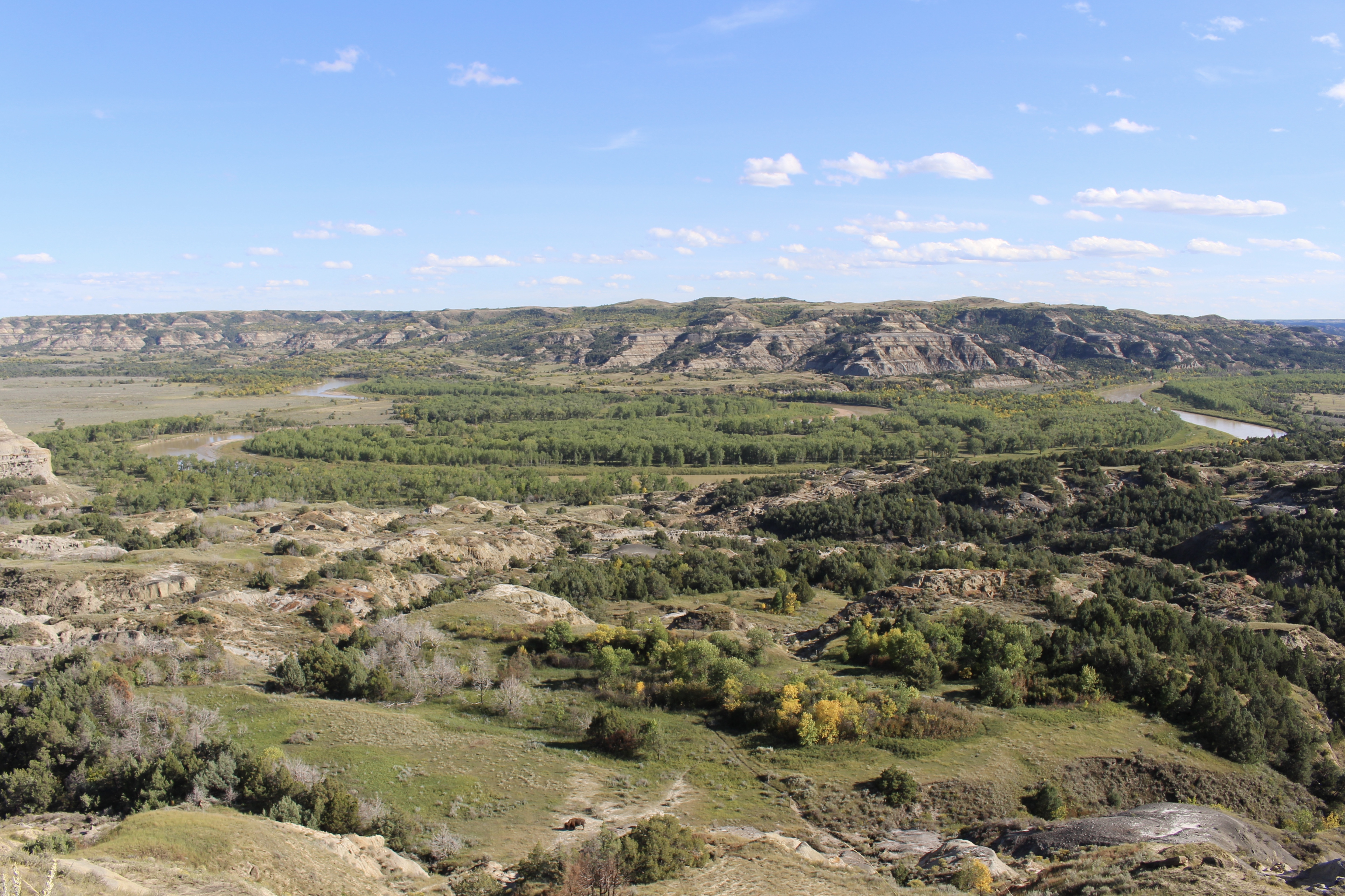 fullsizeoutput_1ef0b