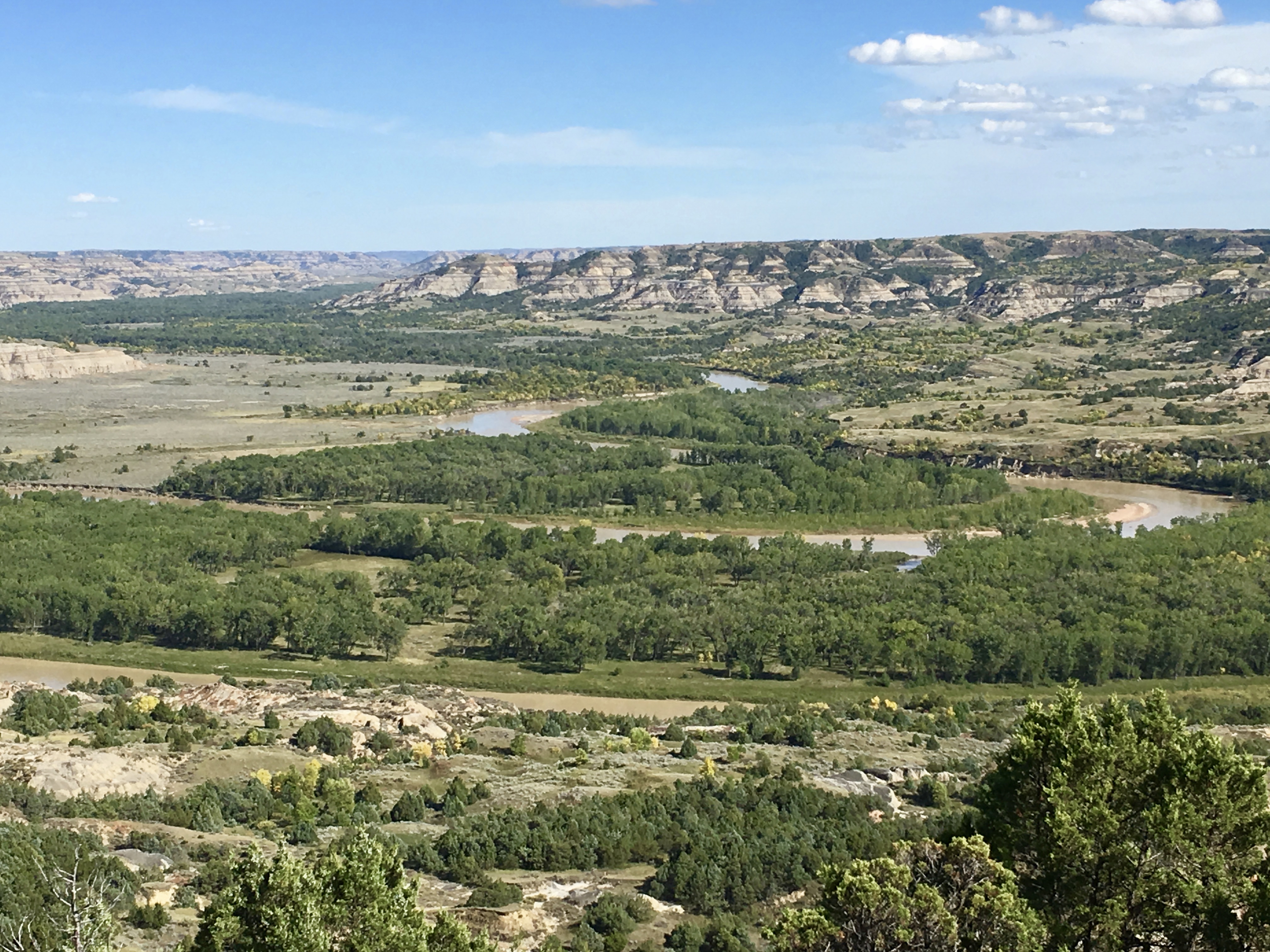 fullsizeoutput_1ef0f