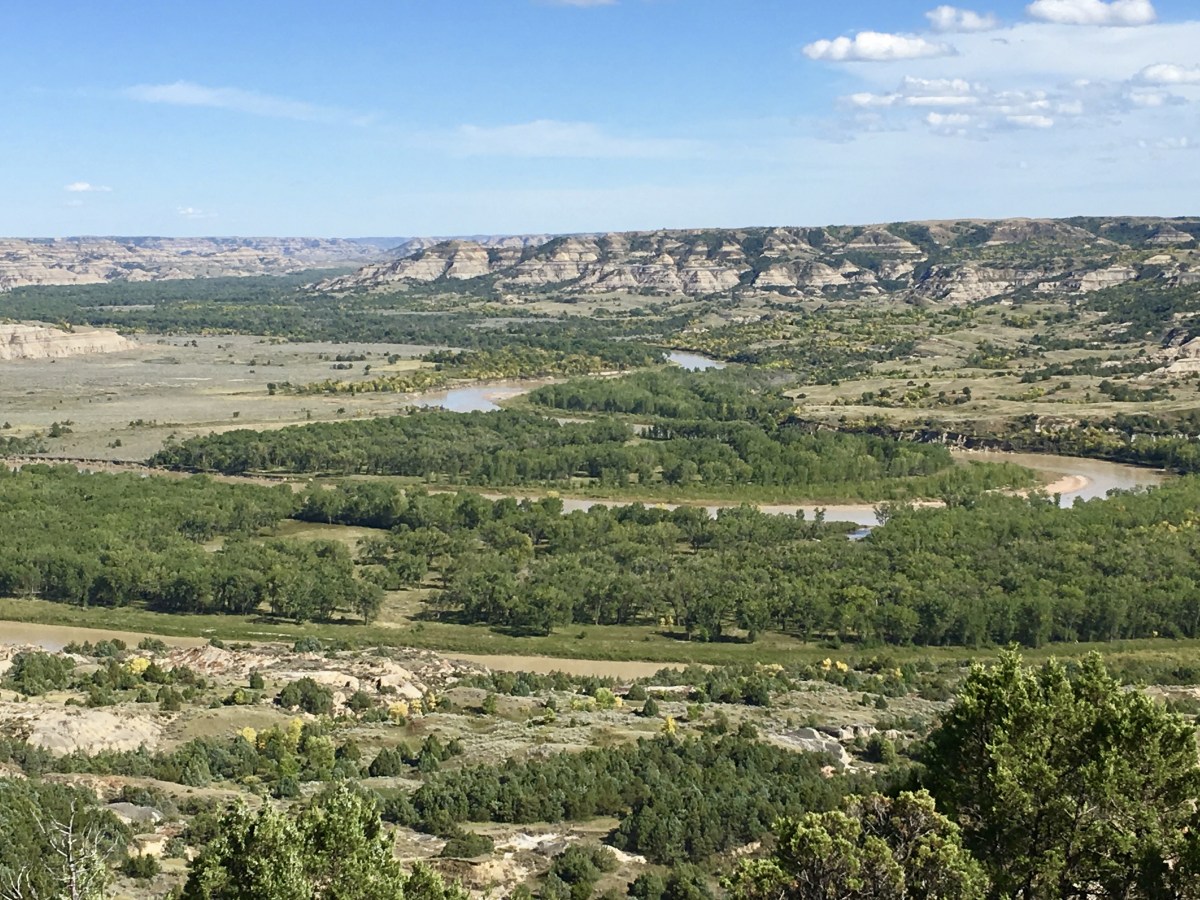 fullsizeoutput_1ef0f