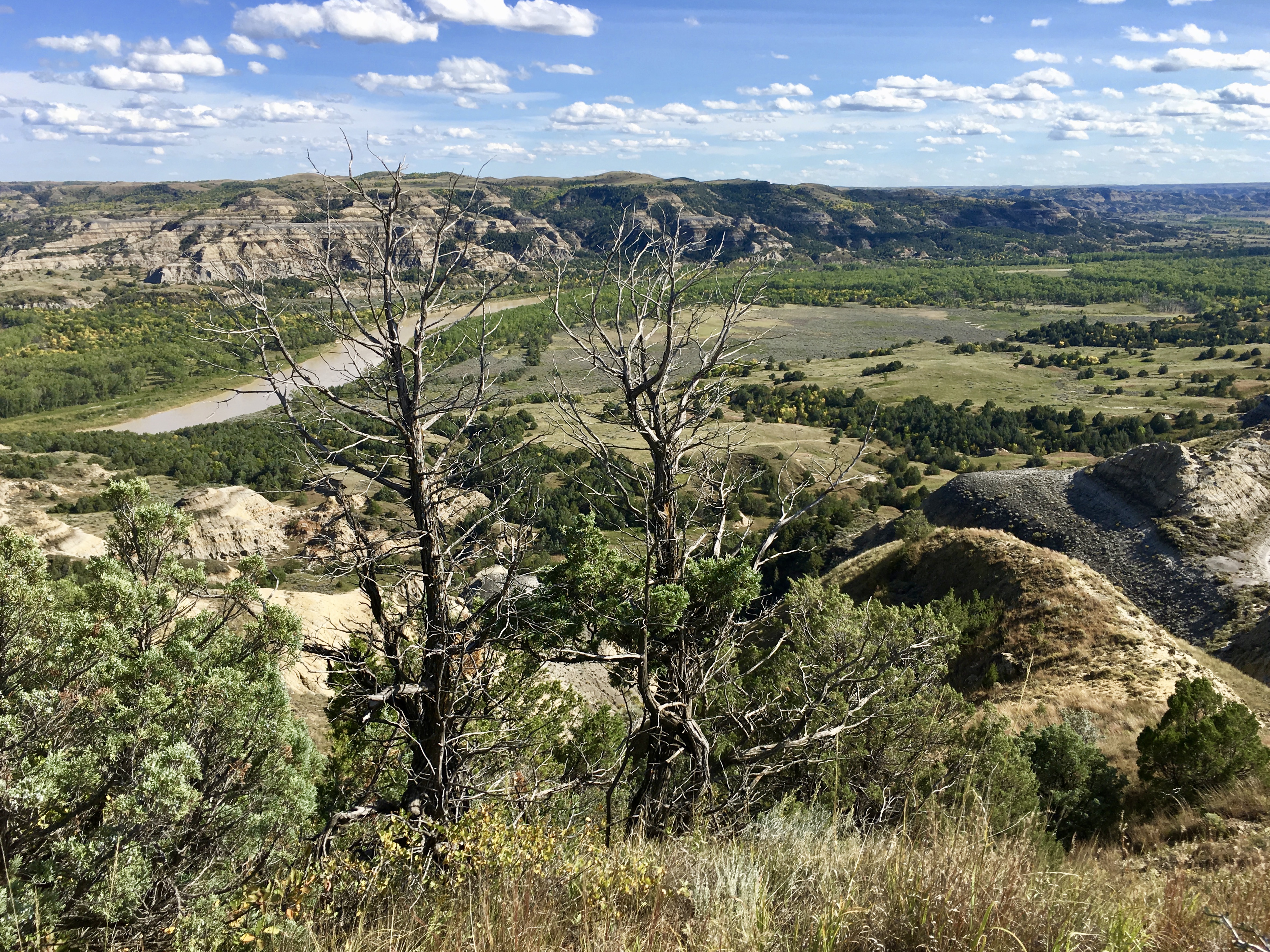 fullsizeoutput_1ef10