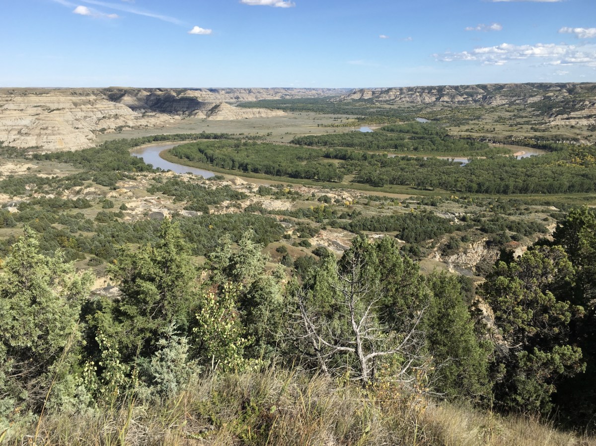 fullsizeoutput_1ef11