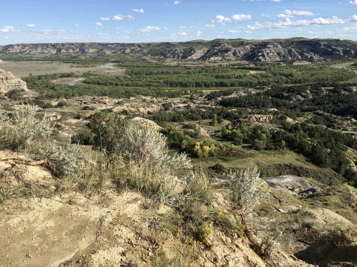 fullsizeoutput_1ef13