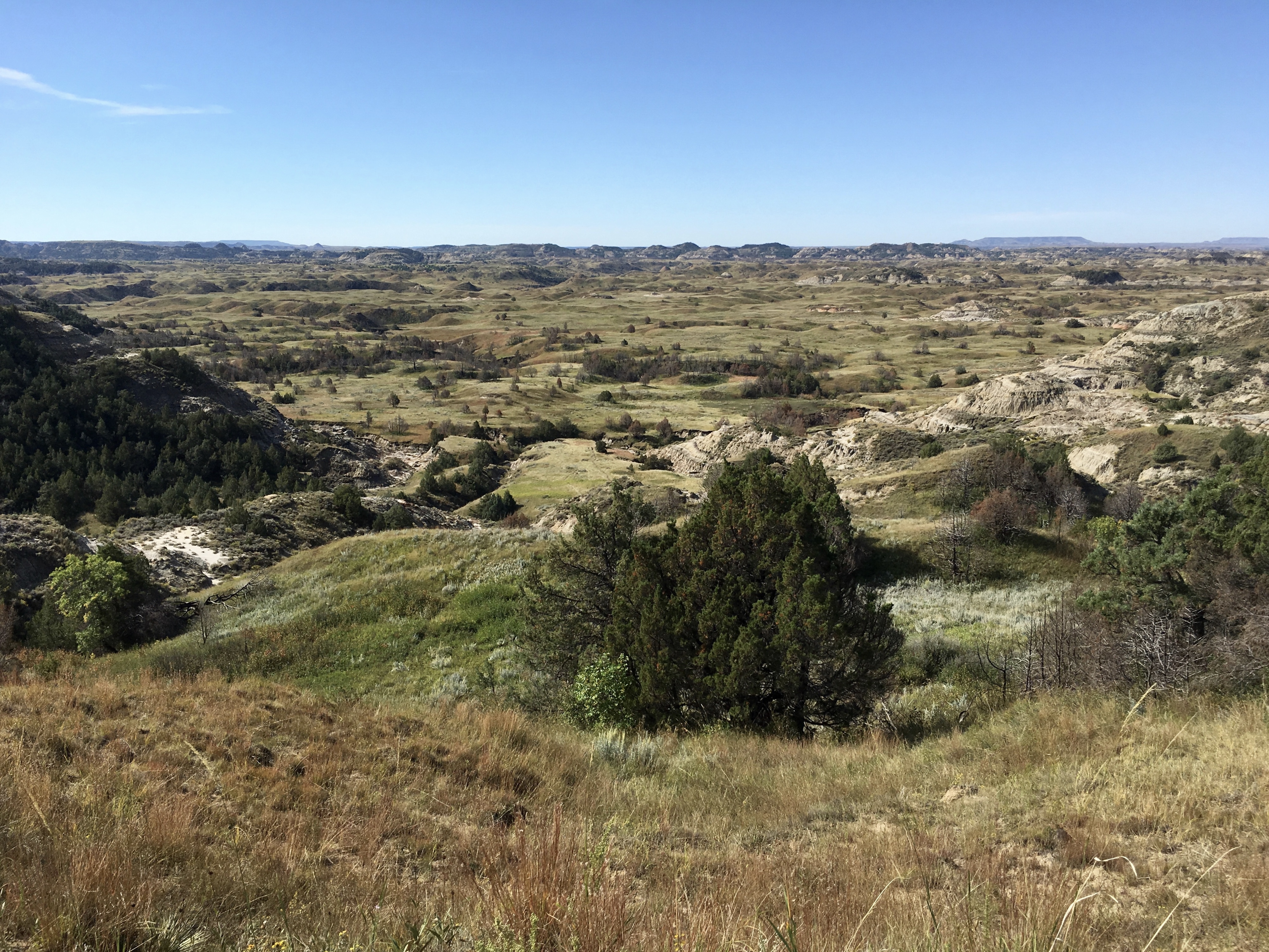 fullsizeoutput_1f069