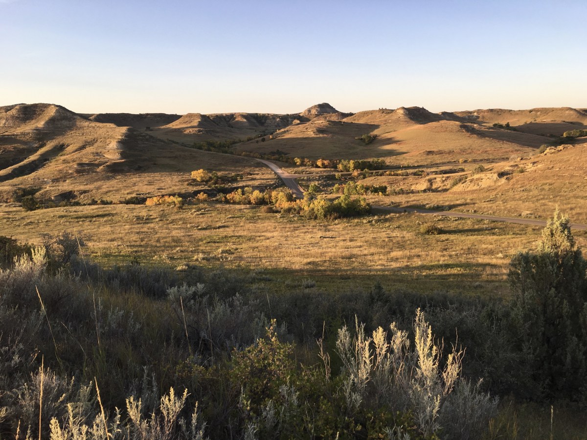 fullsizeoutput_1f0bf