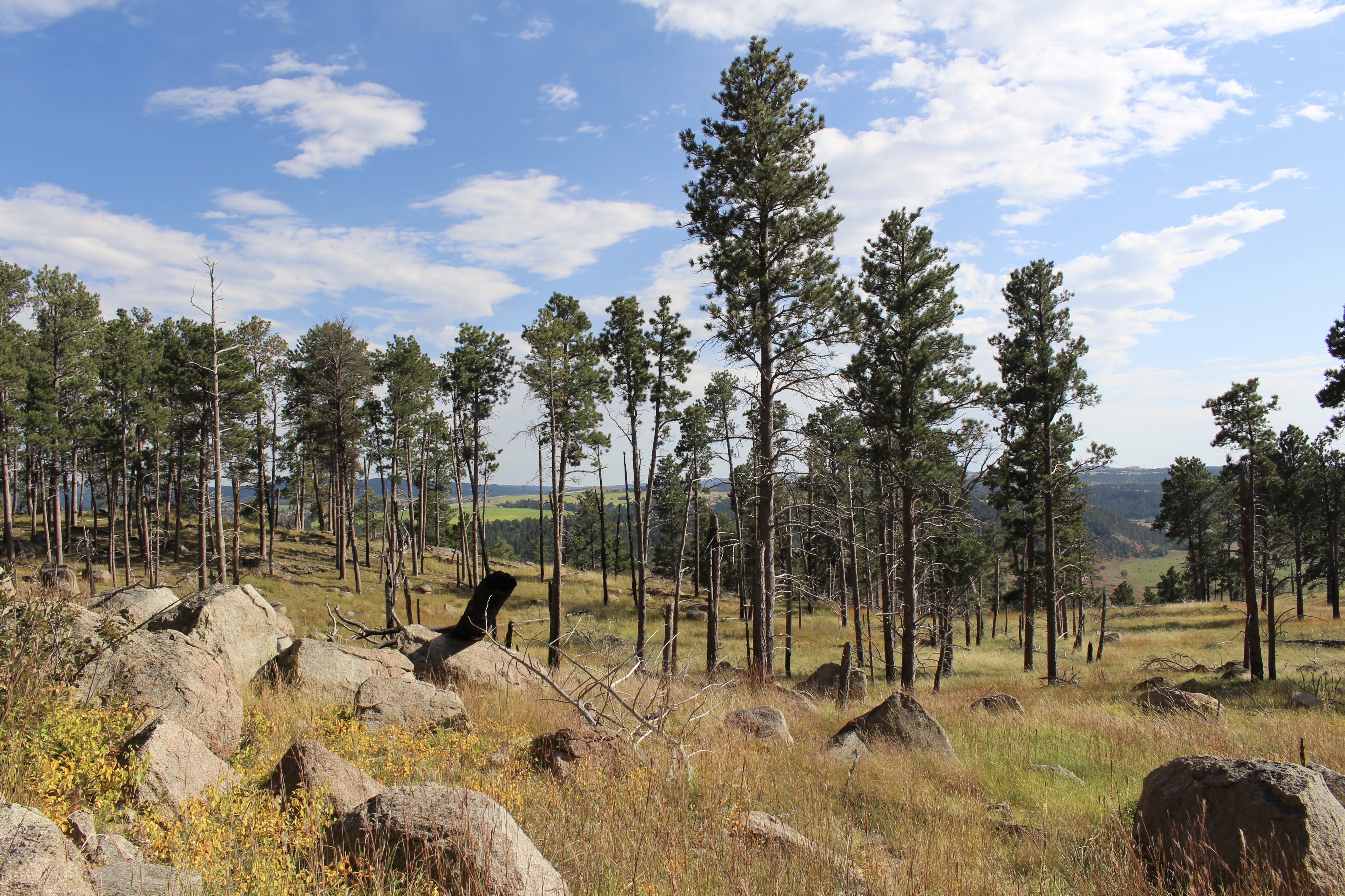 fullsizeoutput_1f0ee