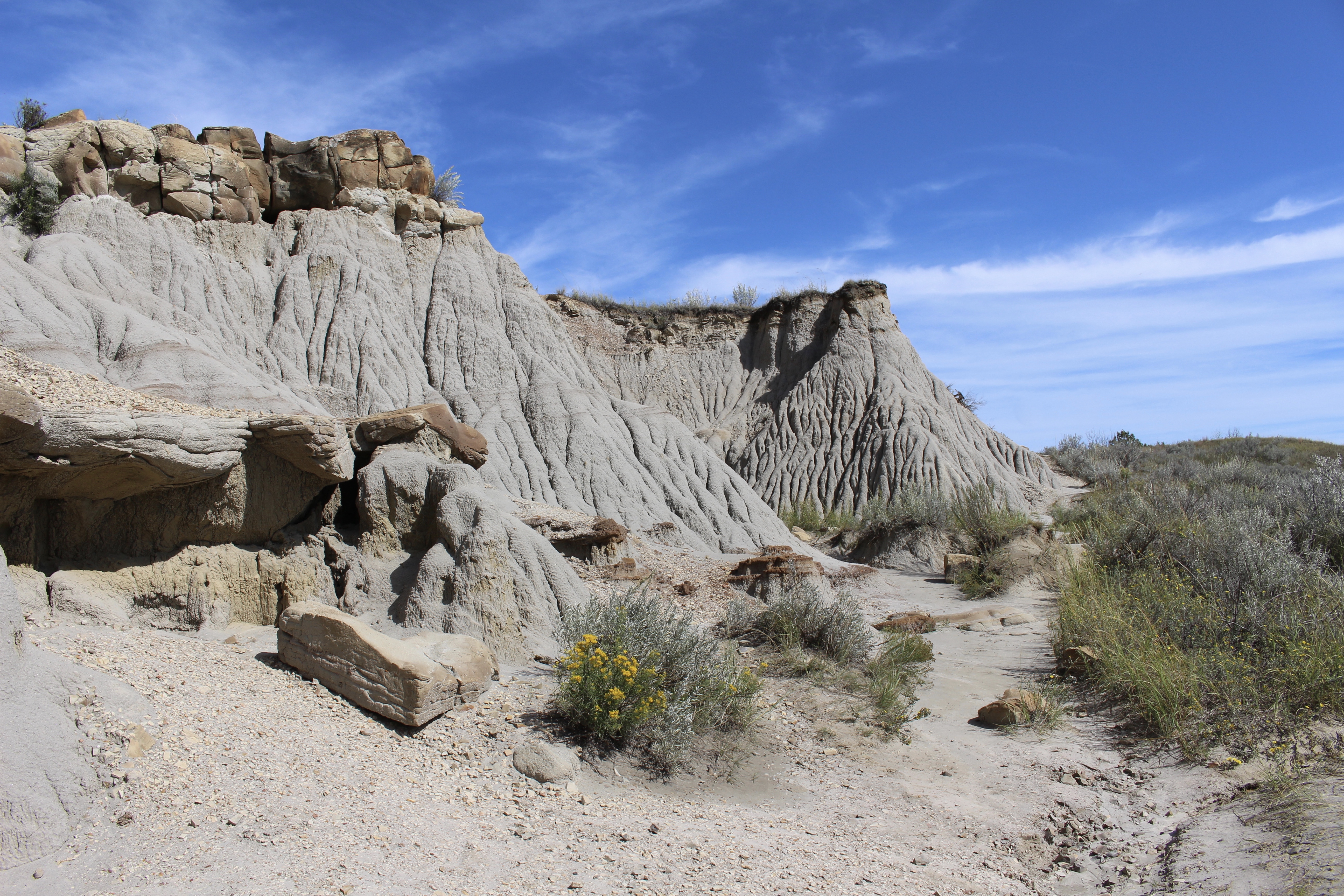 fullsizeoutput_1f10e