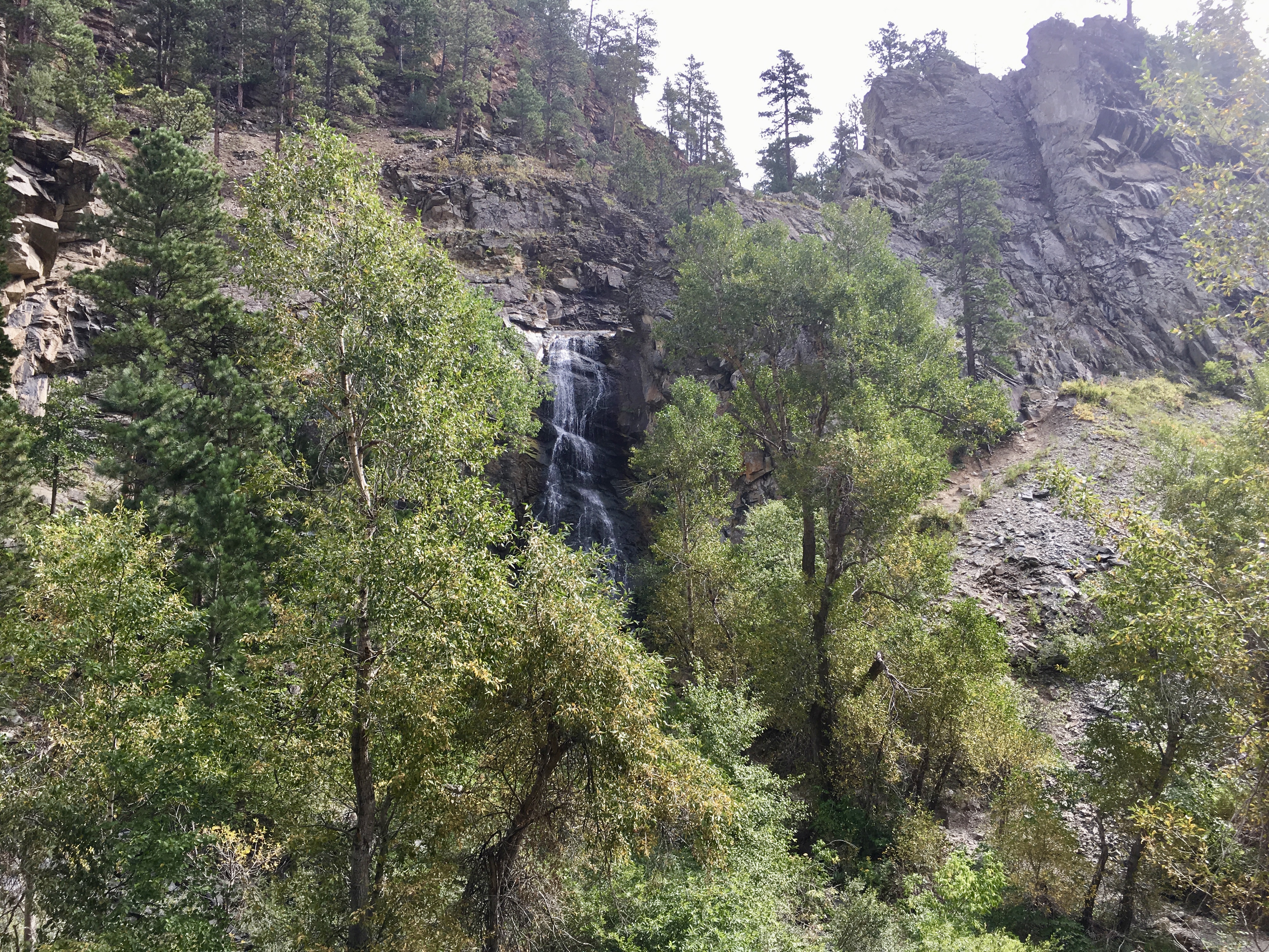 fullsizeoutput_1f153