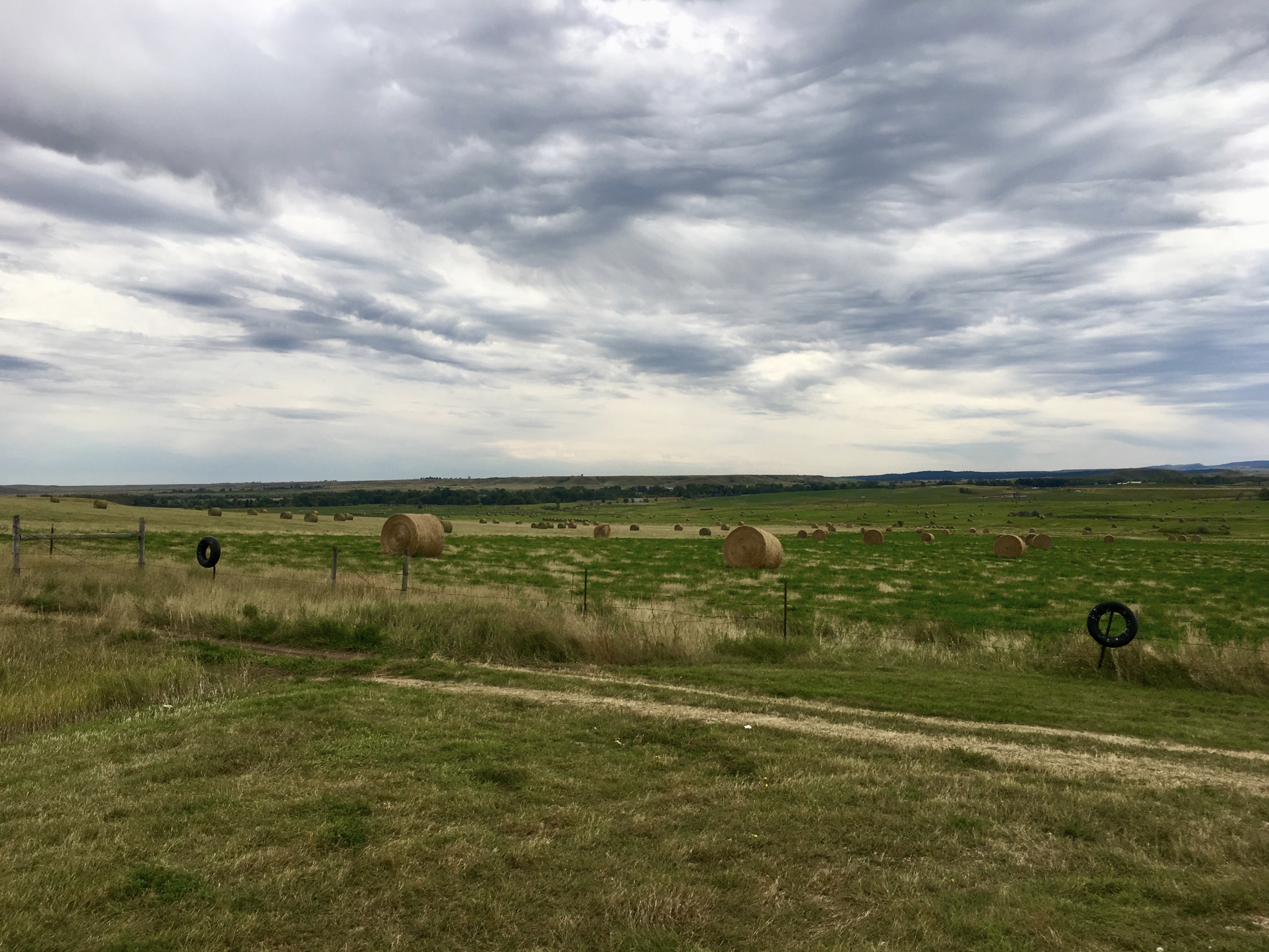 fullsizeoutput_1f173