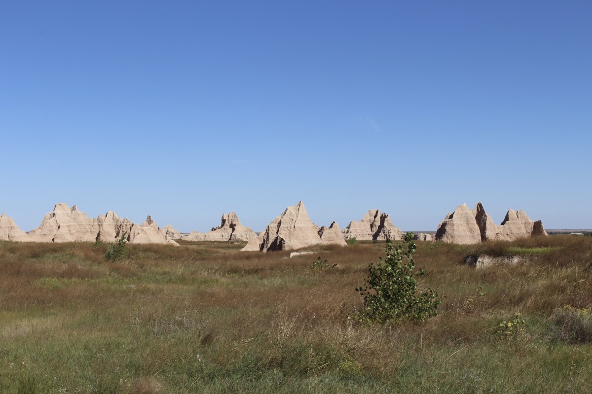 fullsizeoutput_1f1ed