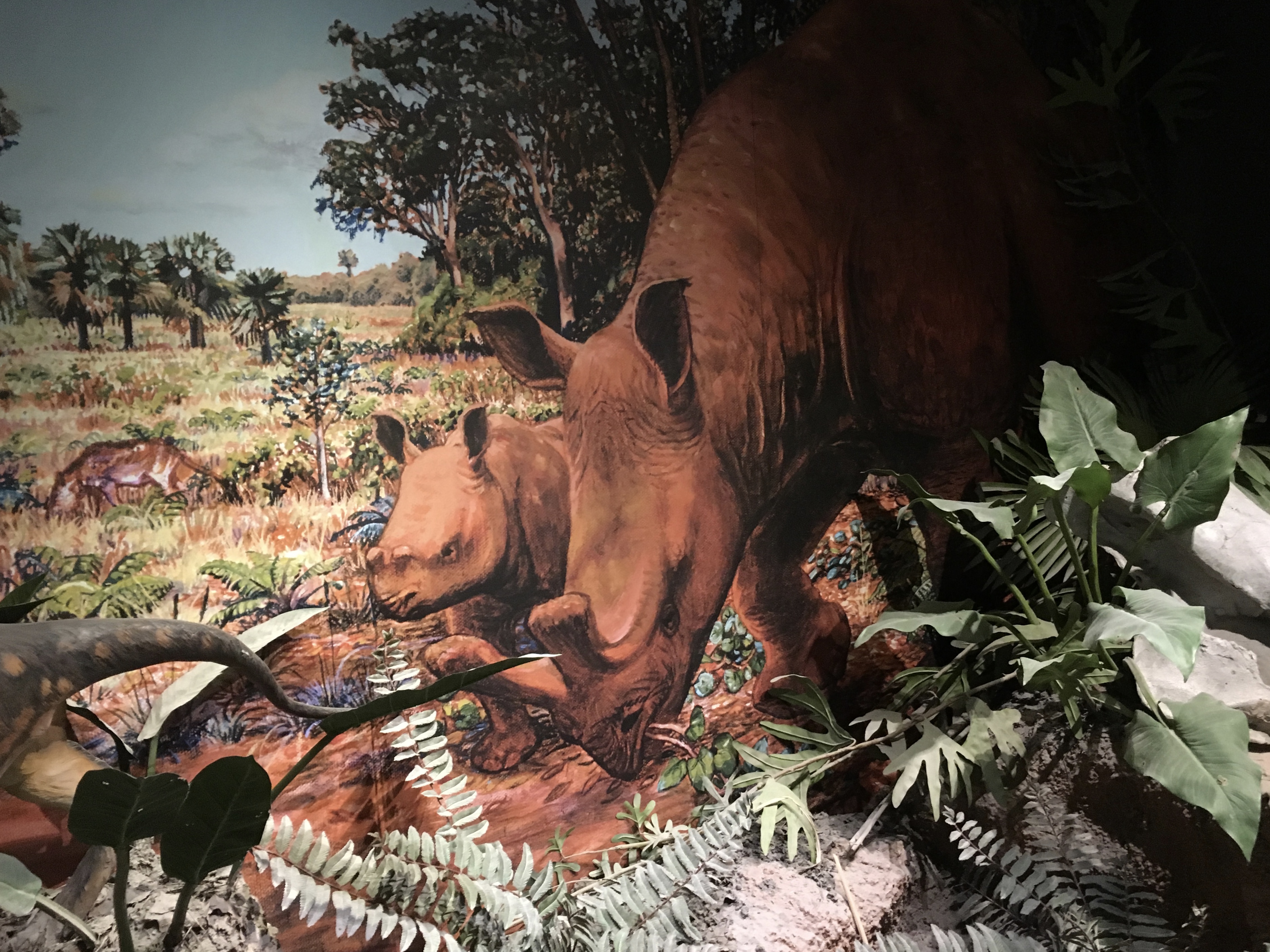 fullsizeoutput_1f204