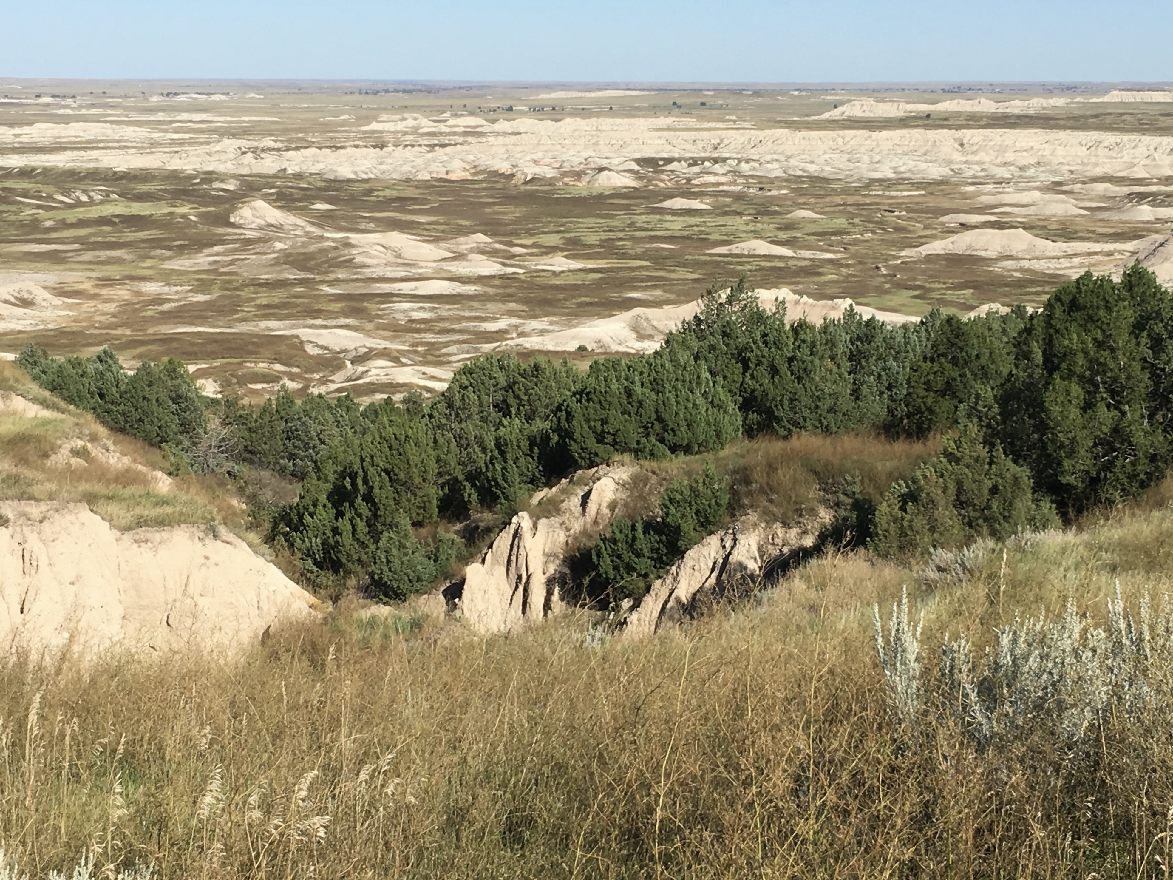 fullsizeoutput_1f230