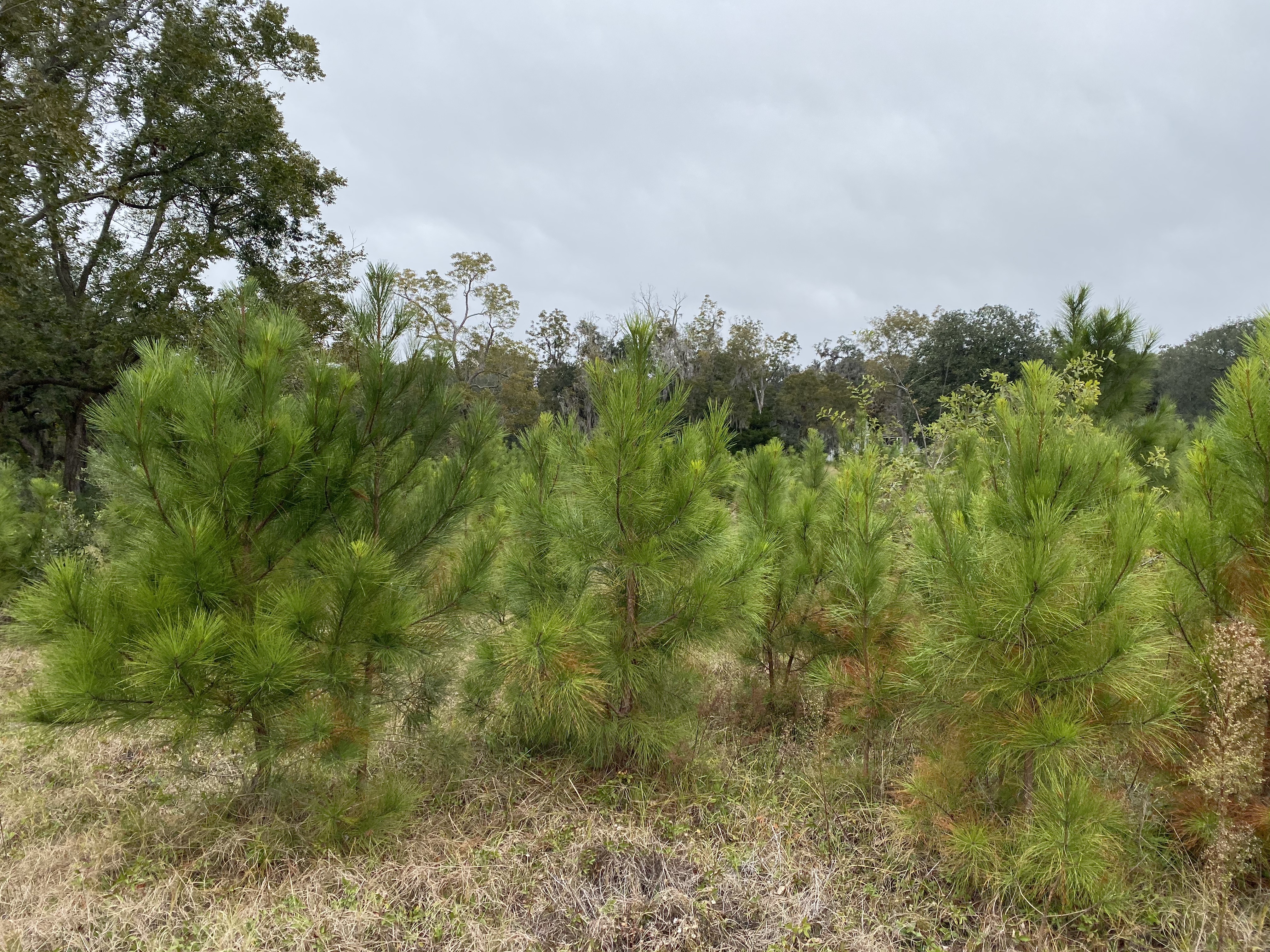 tp3lzes0R7uUfQw+YmFHyg