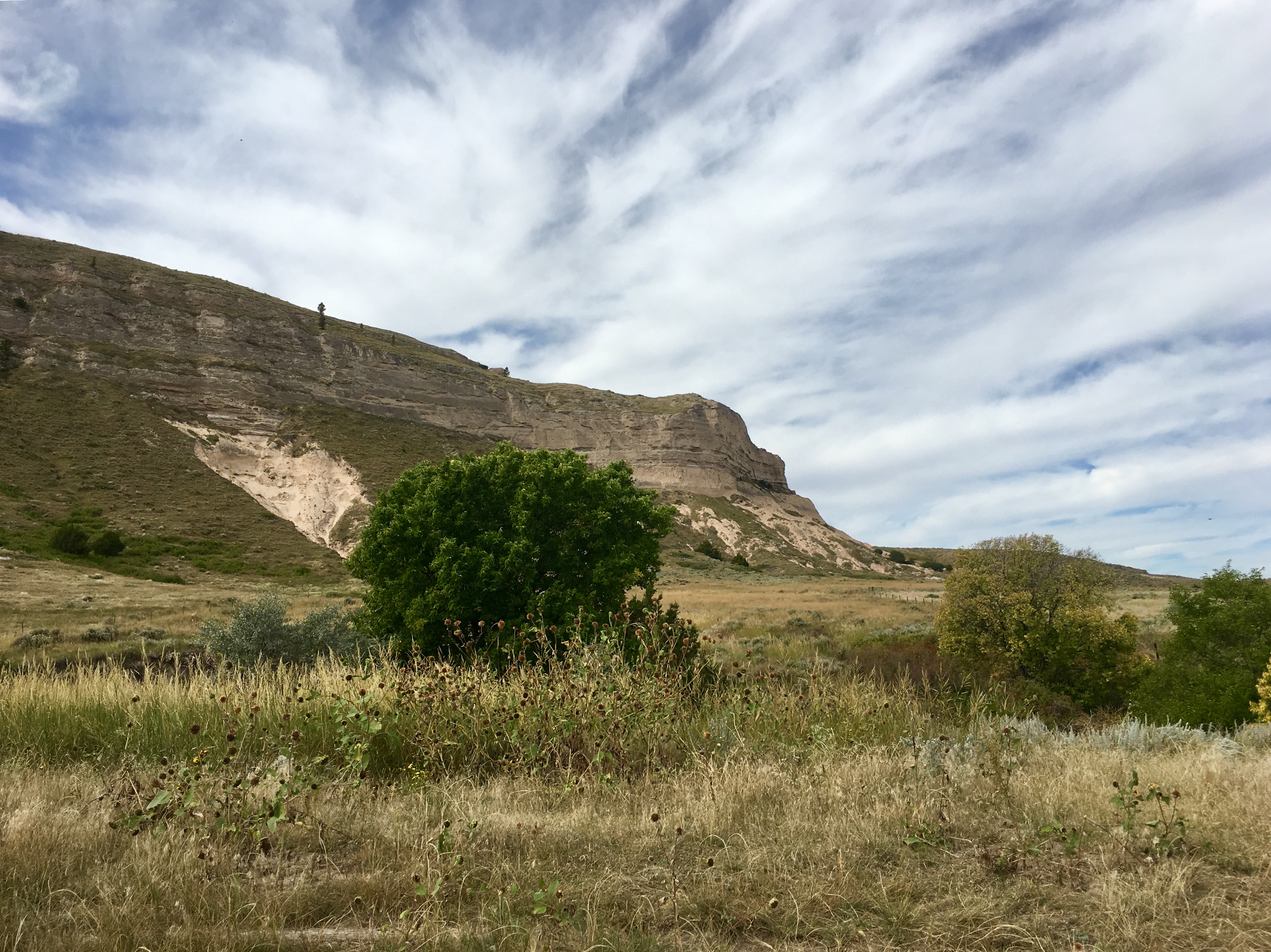 fullsizeoutput_1a3a6