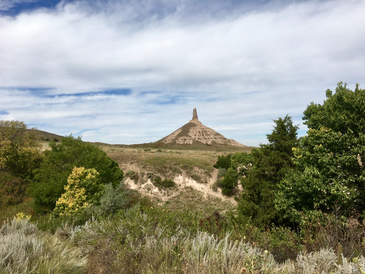 fullsizeoutput_1a3aa