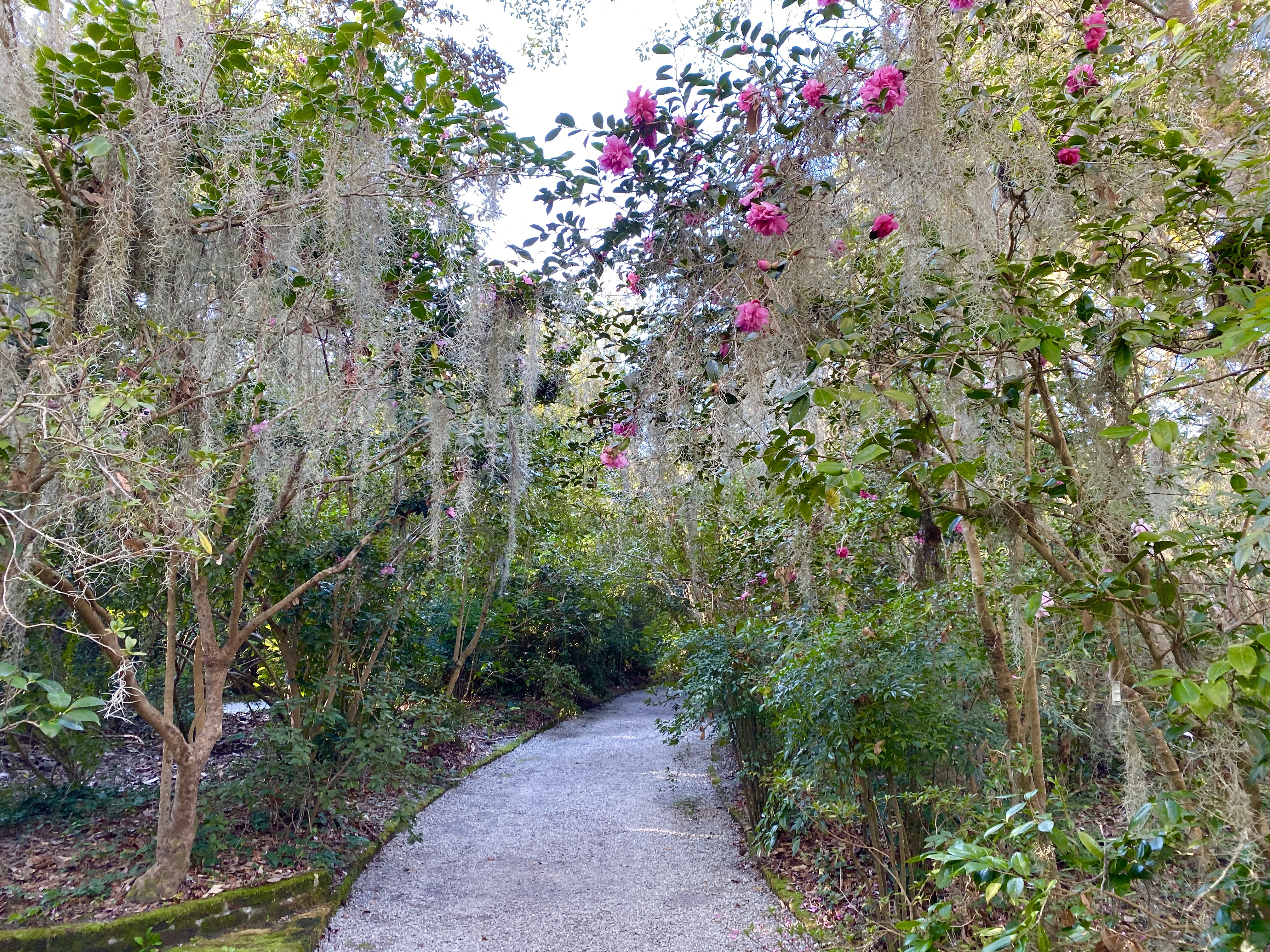 fullsizeoutput_1b1c0