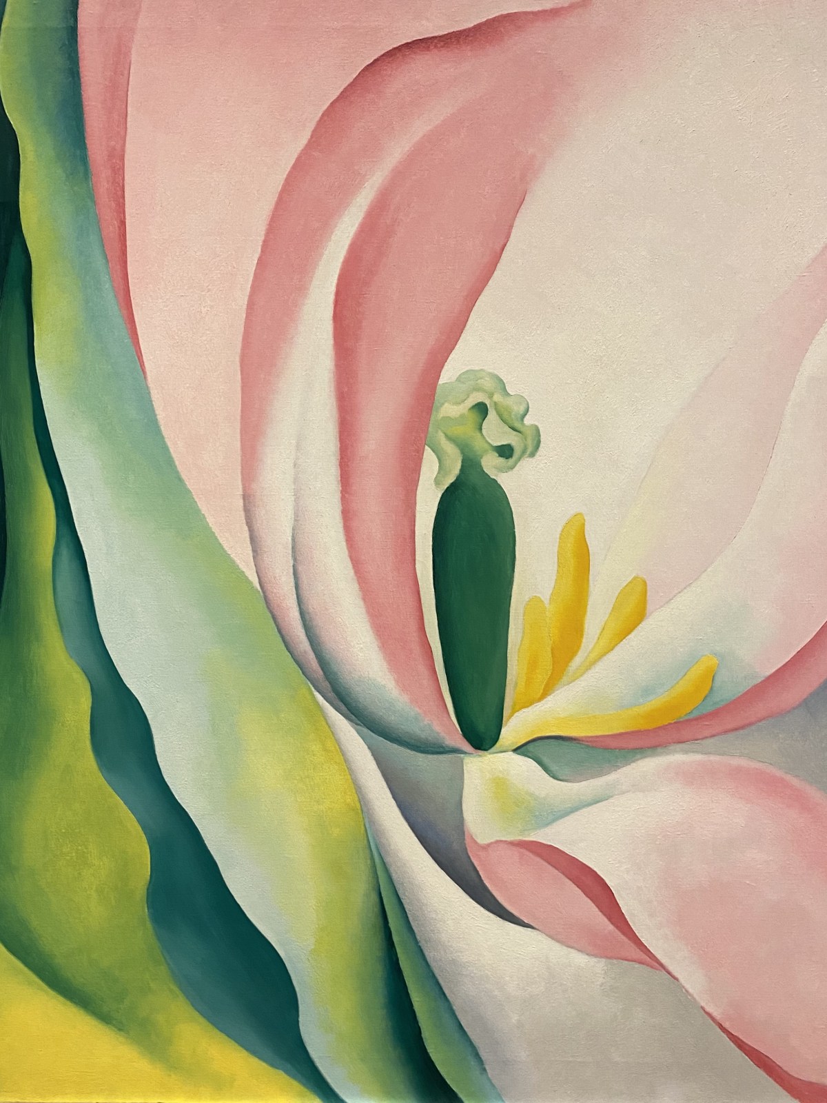 fullsizeoutput_1c51a