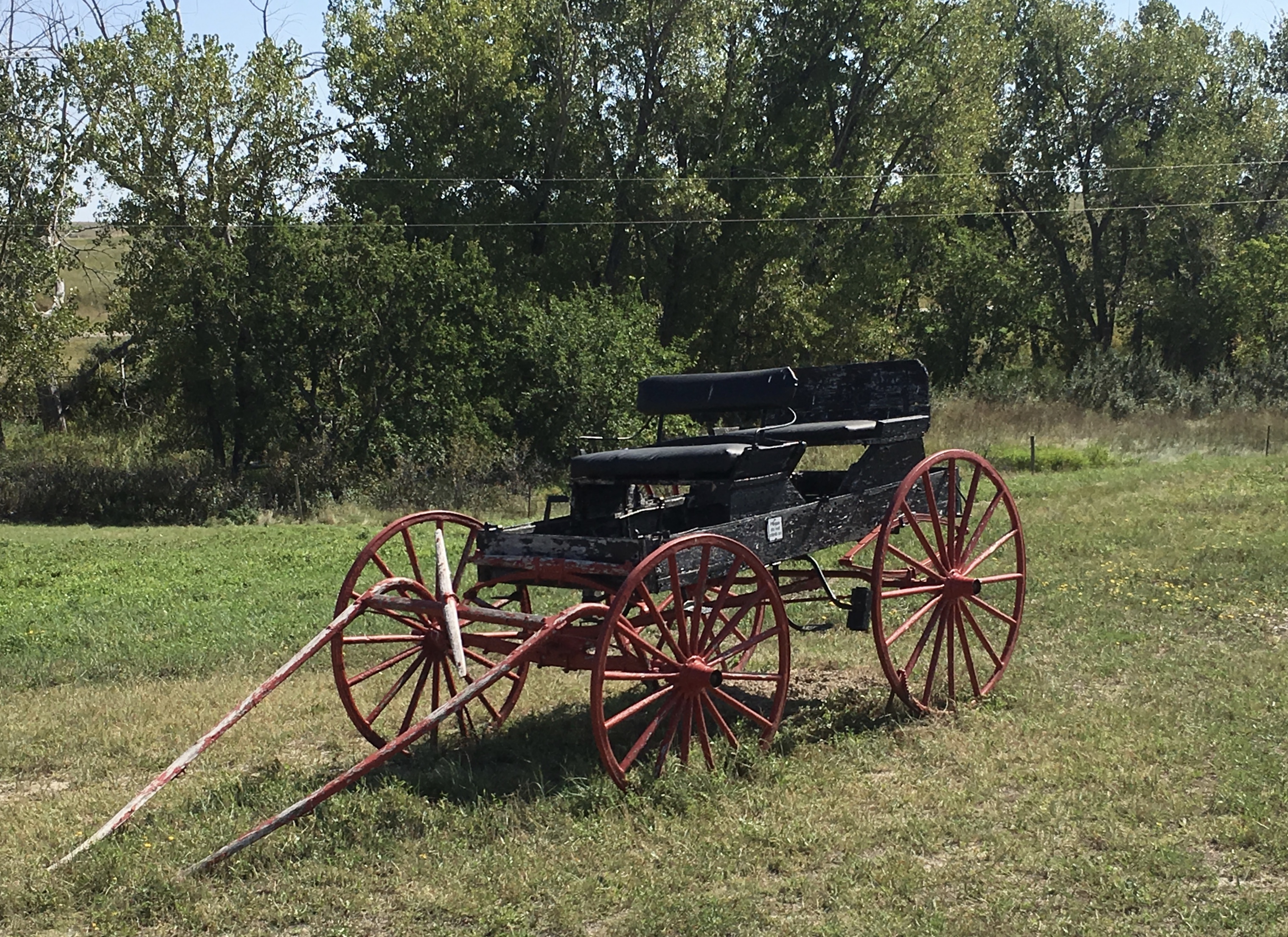 fullsizeoutput_1f2ac