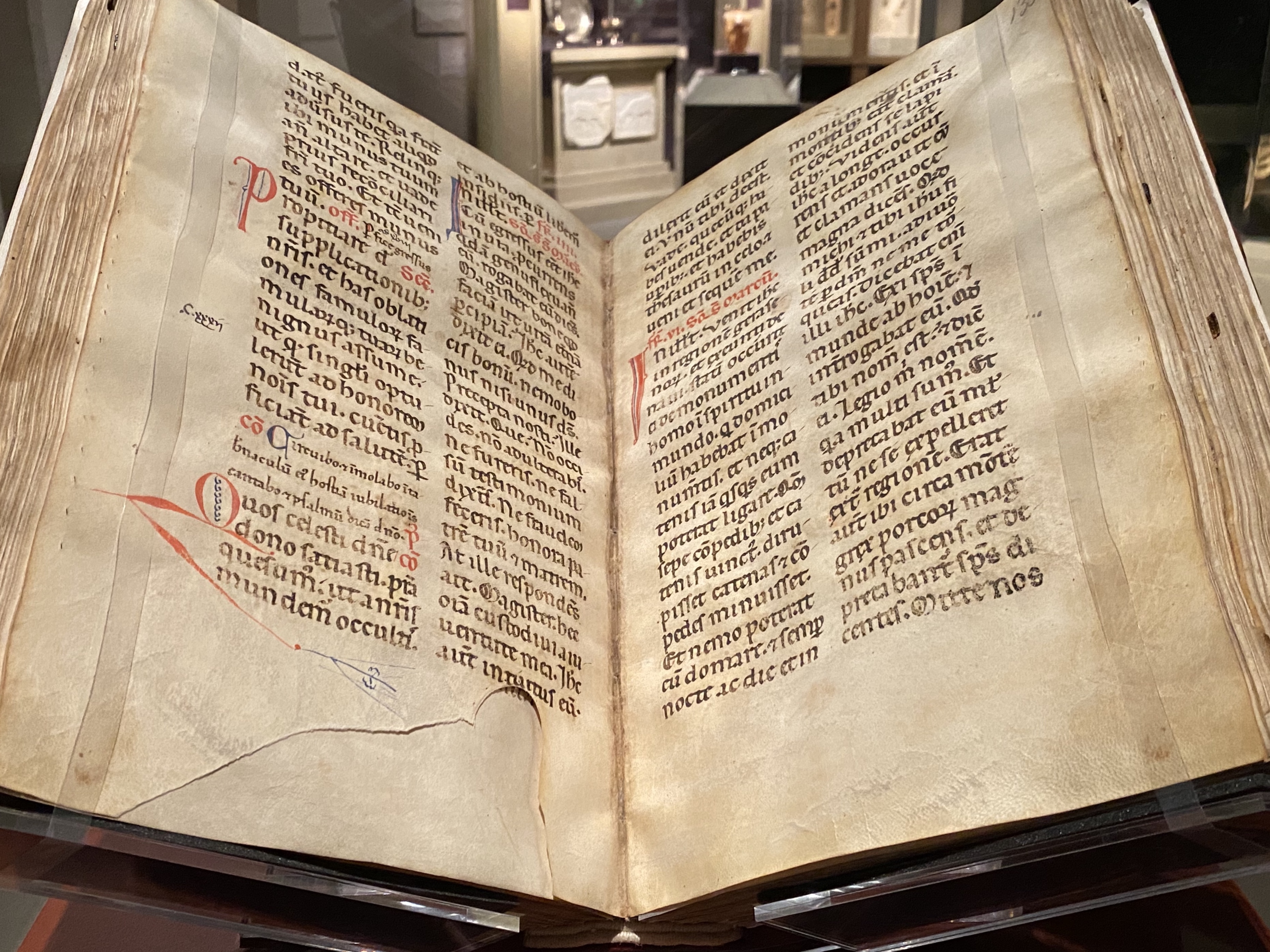 fullsizeoutput_1f31a