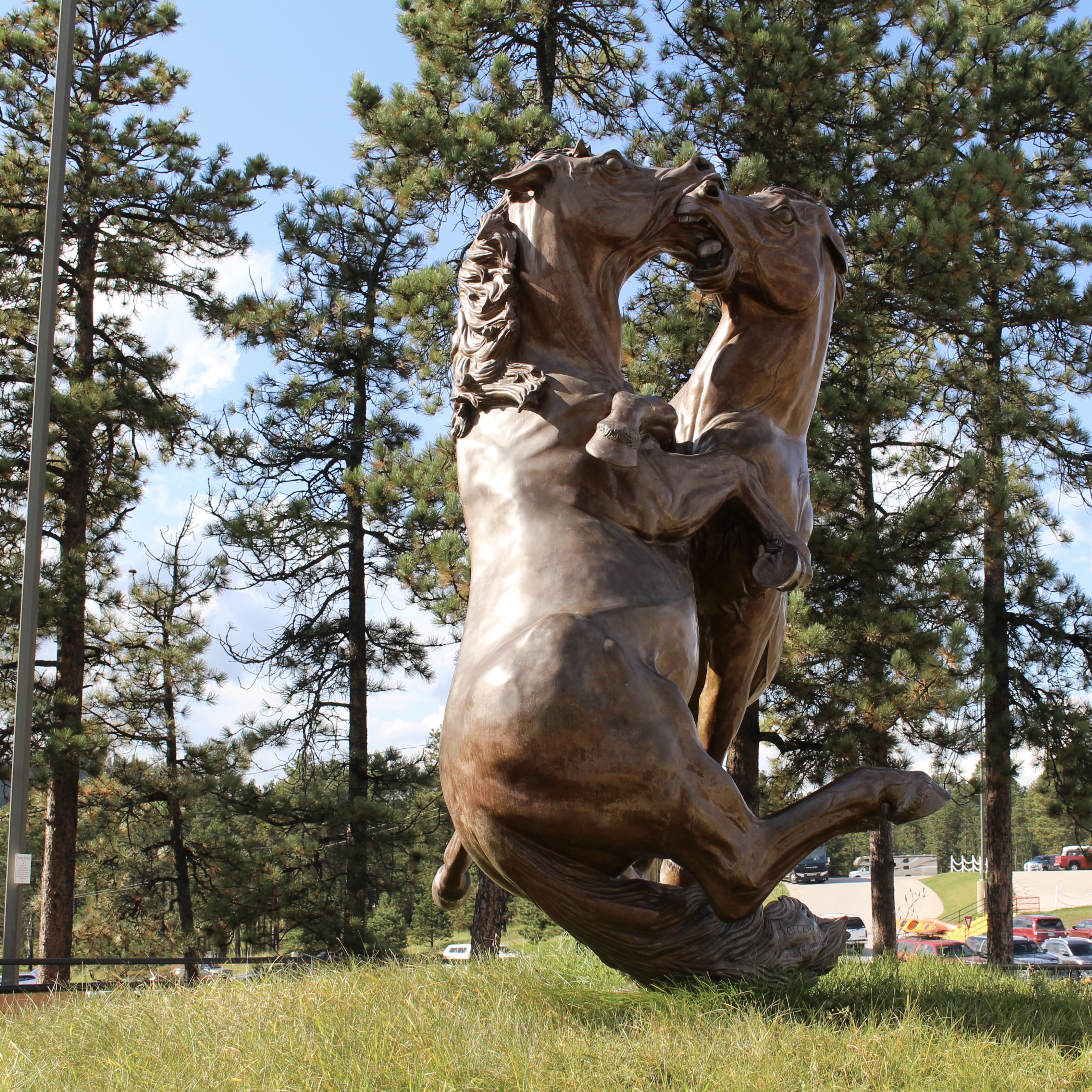 fullsizeoutput_1f37e