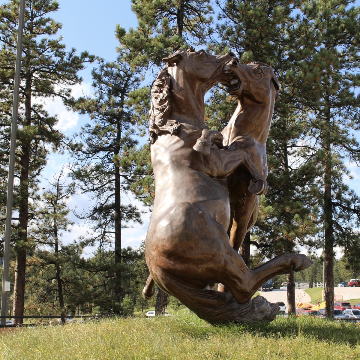 fullsizeoutput_1f37e