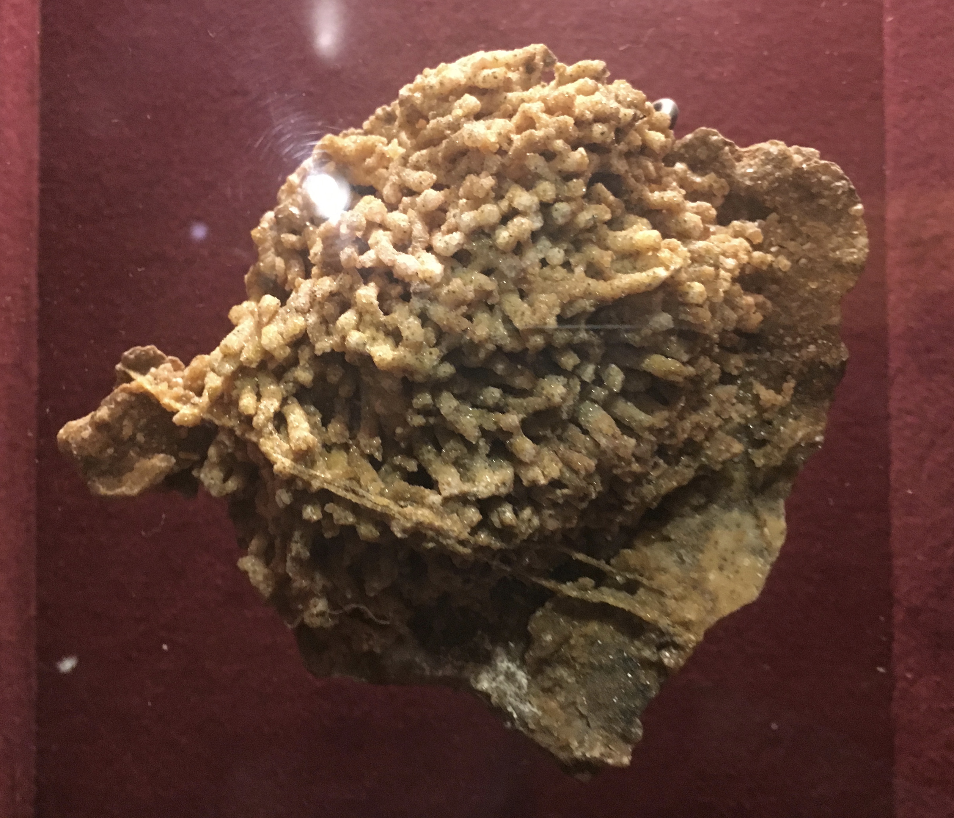 fullsizeoutput_1f413