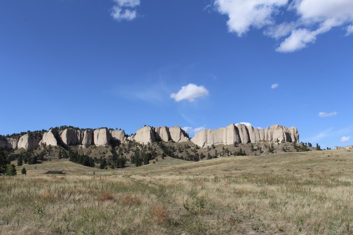 fullsizeoutput_1f468