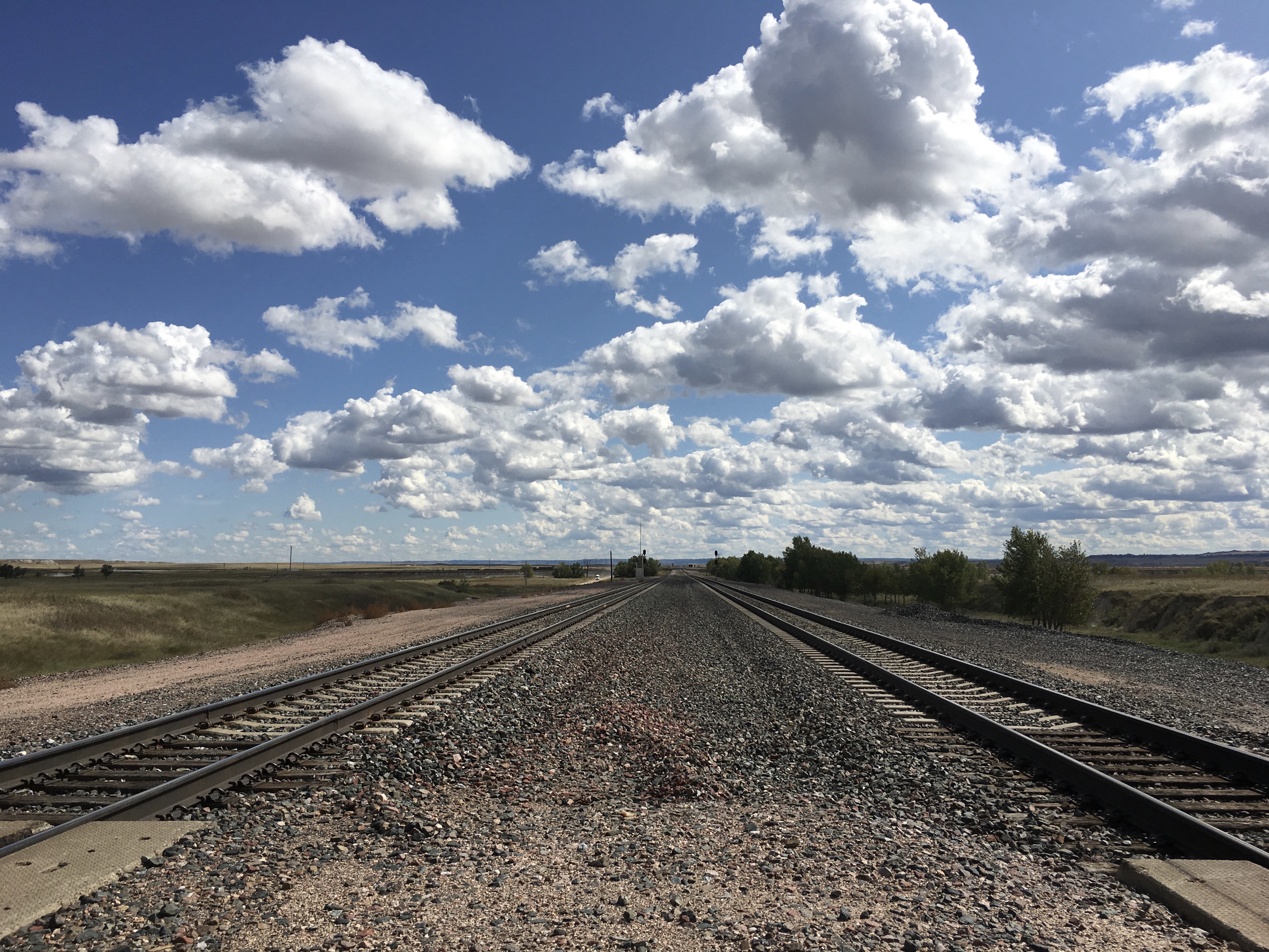 fullsizeoutput_1f475