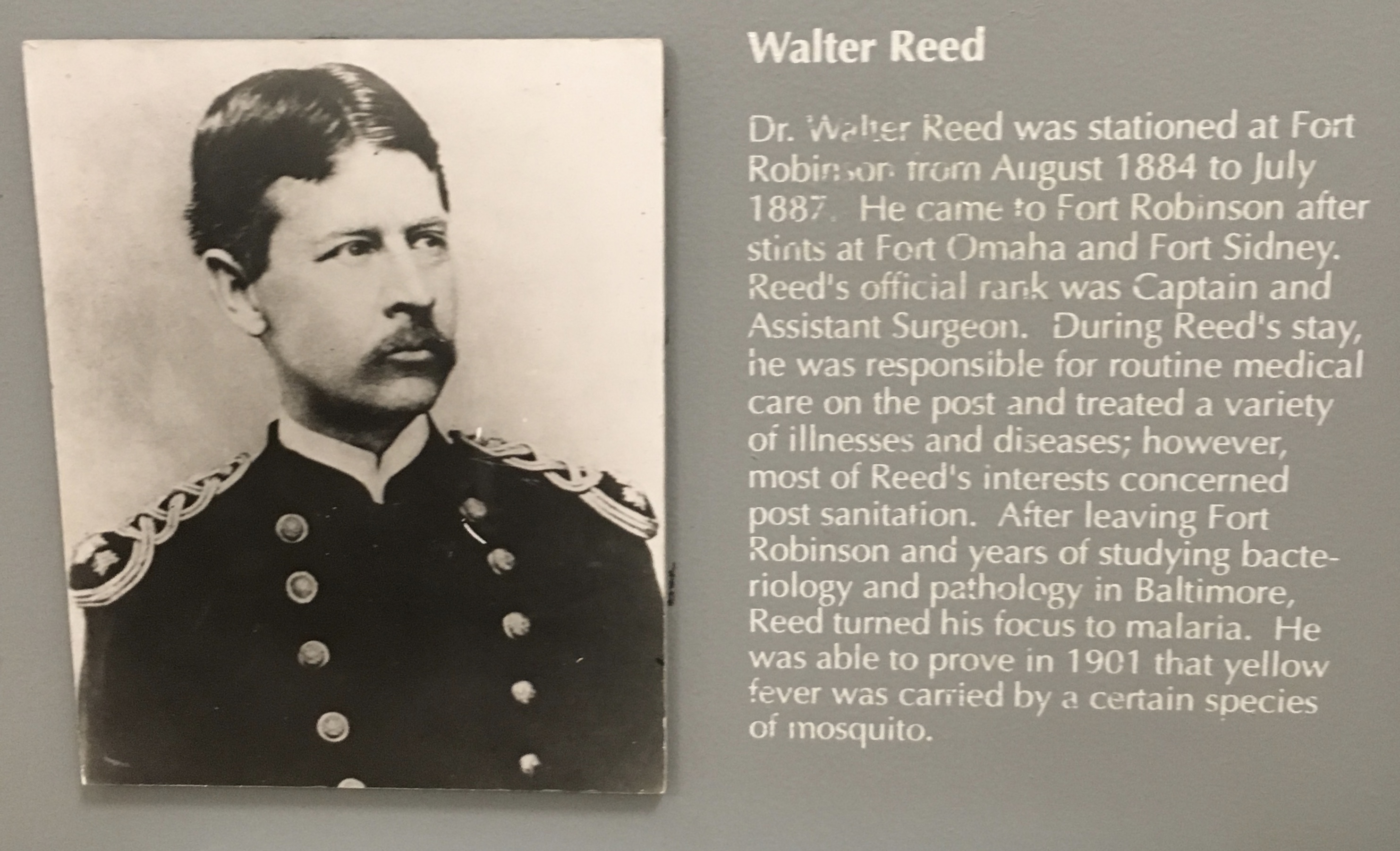 fullsizeoutput_1f48a