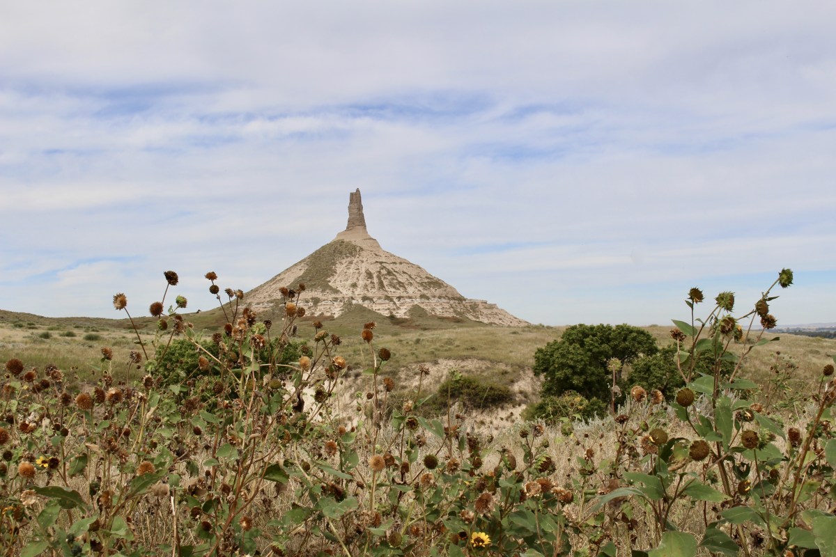 fullsizeoutput_1fa06