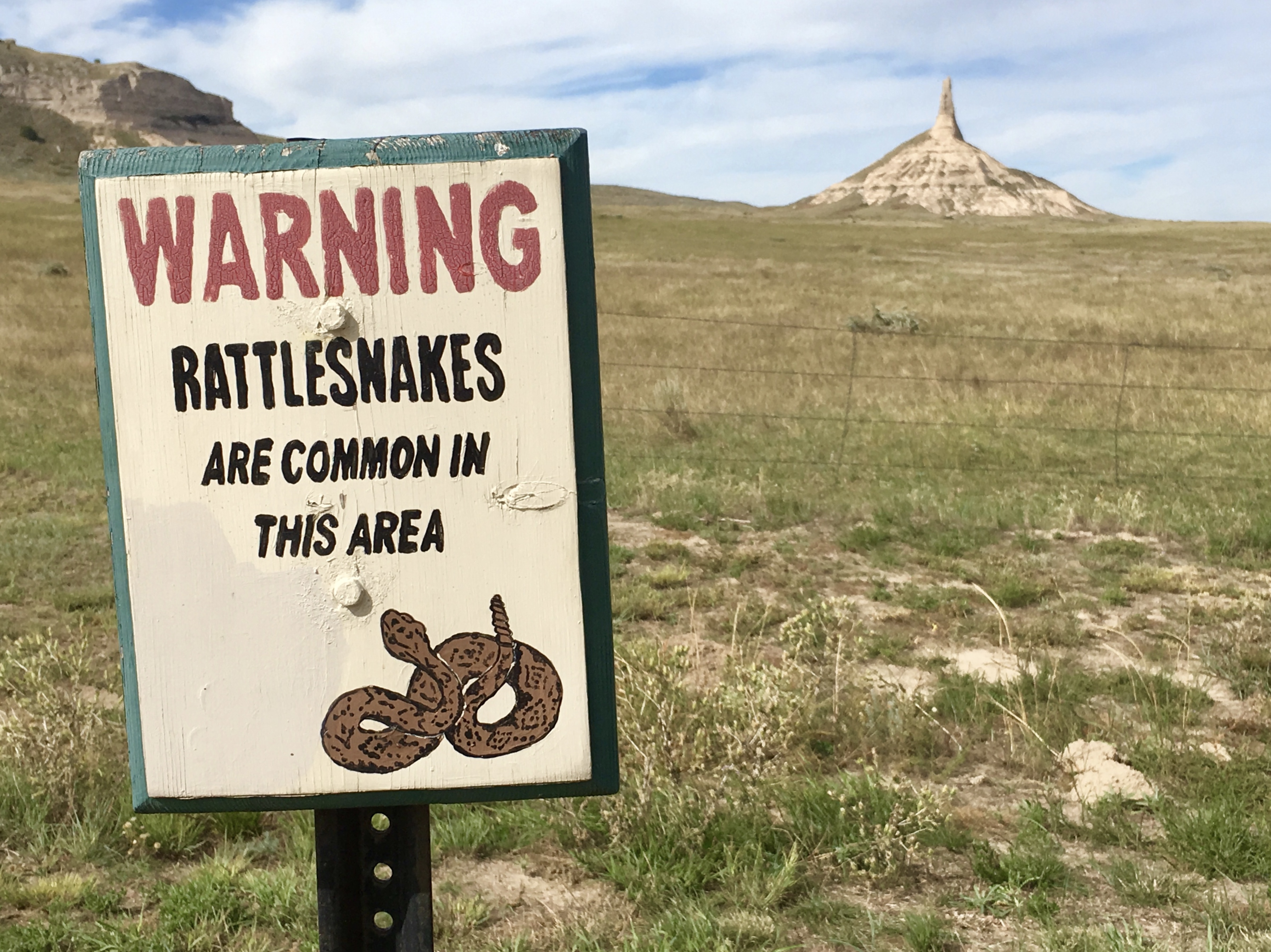 fullsizeoutput_1fa0a