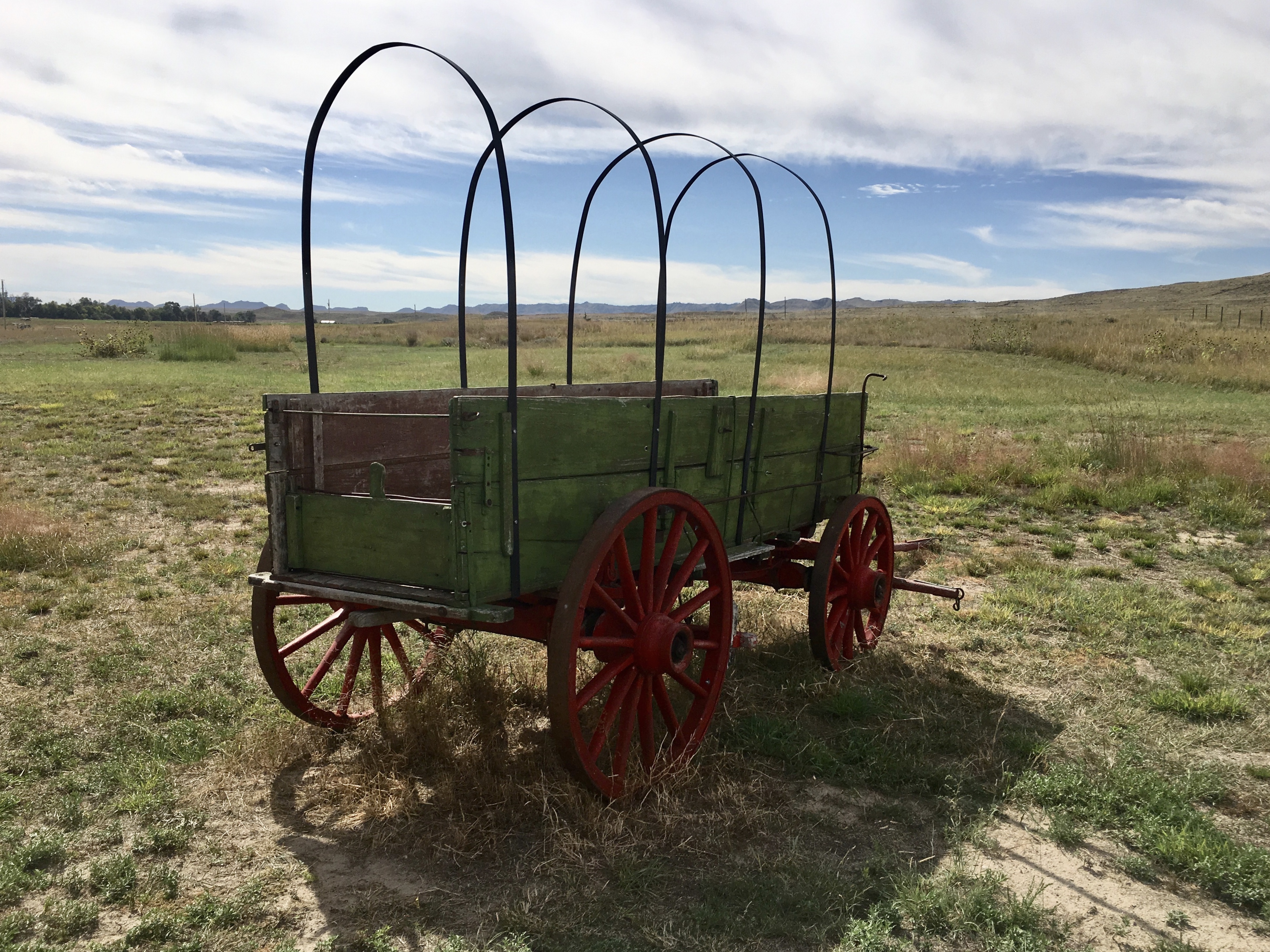 fullsizeoutput_1fa0c