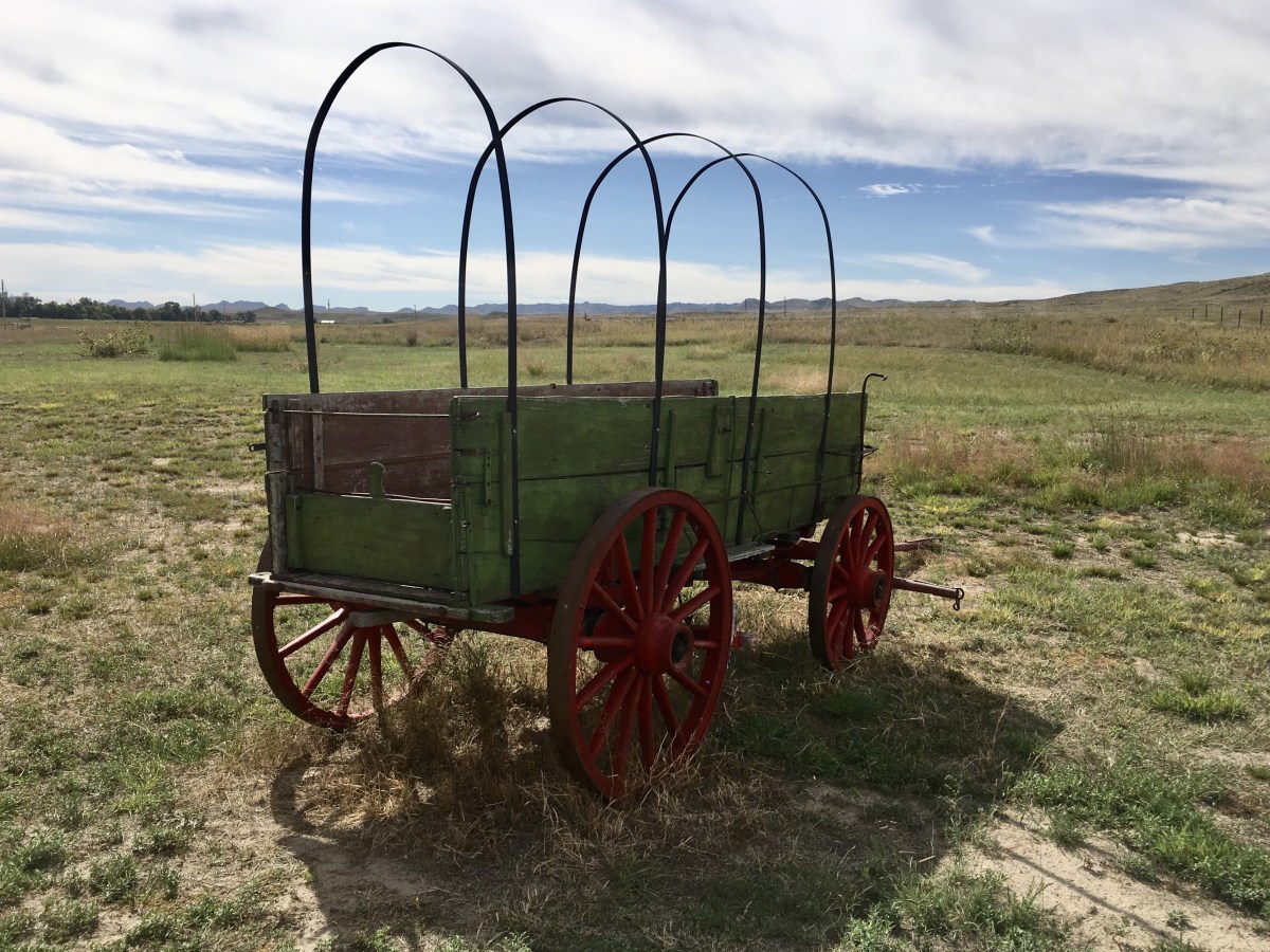 fullsizeoutput_1fa0c