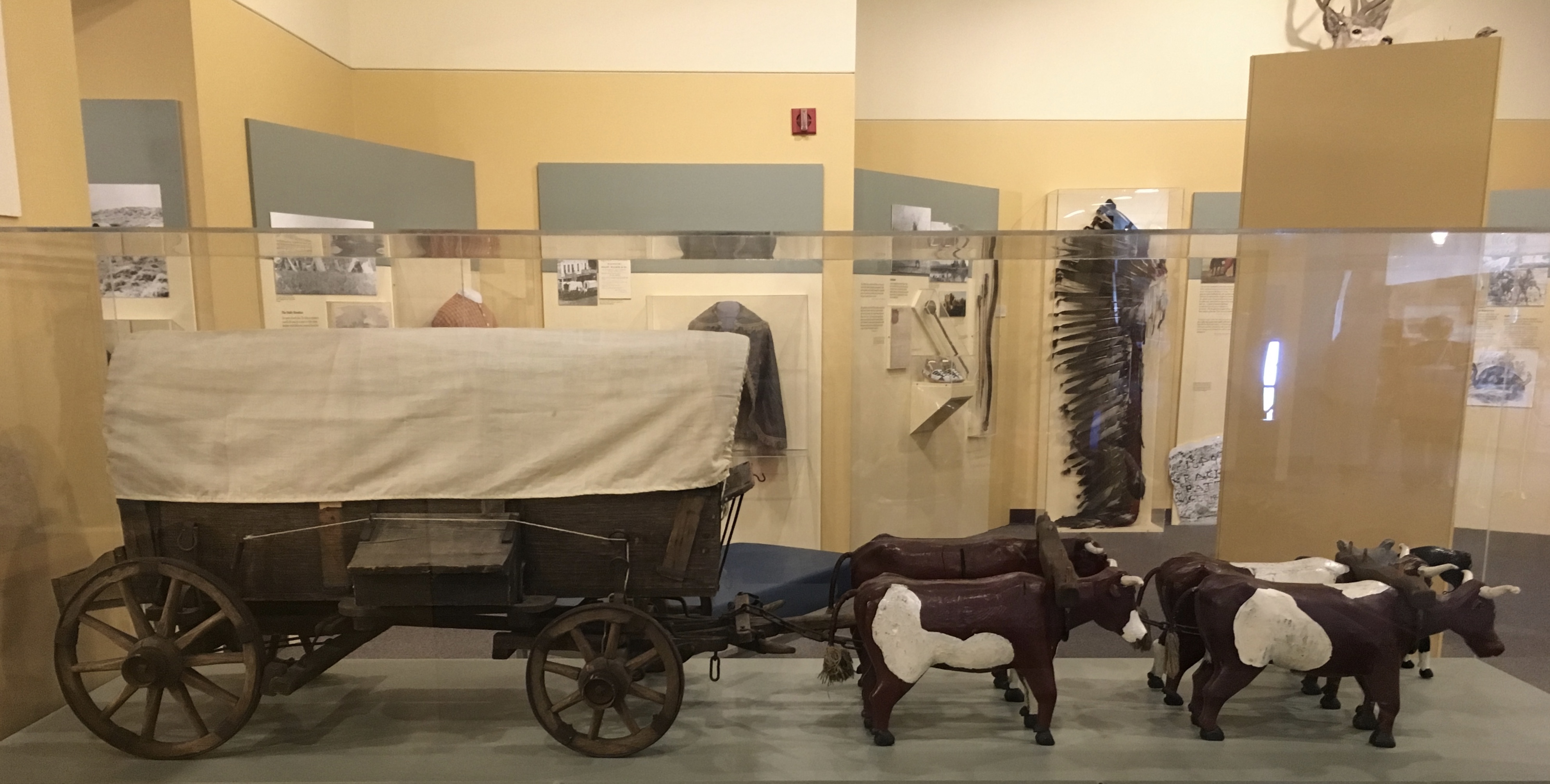 fullsizeoutput_1fa11