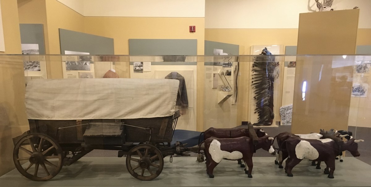 fullsizeoutput_1fa11