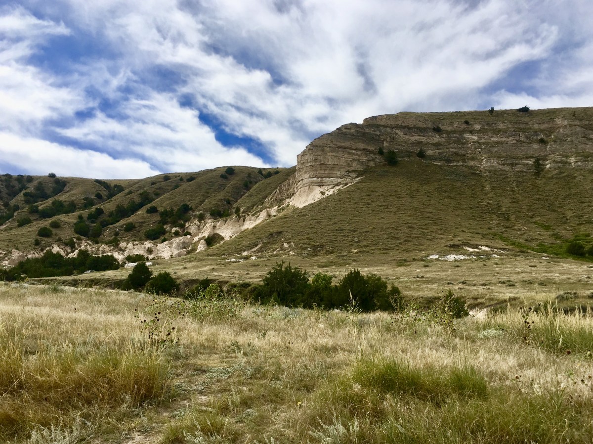 fullsizeoutput_1fa13