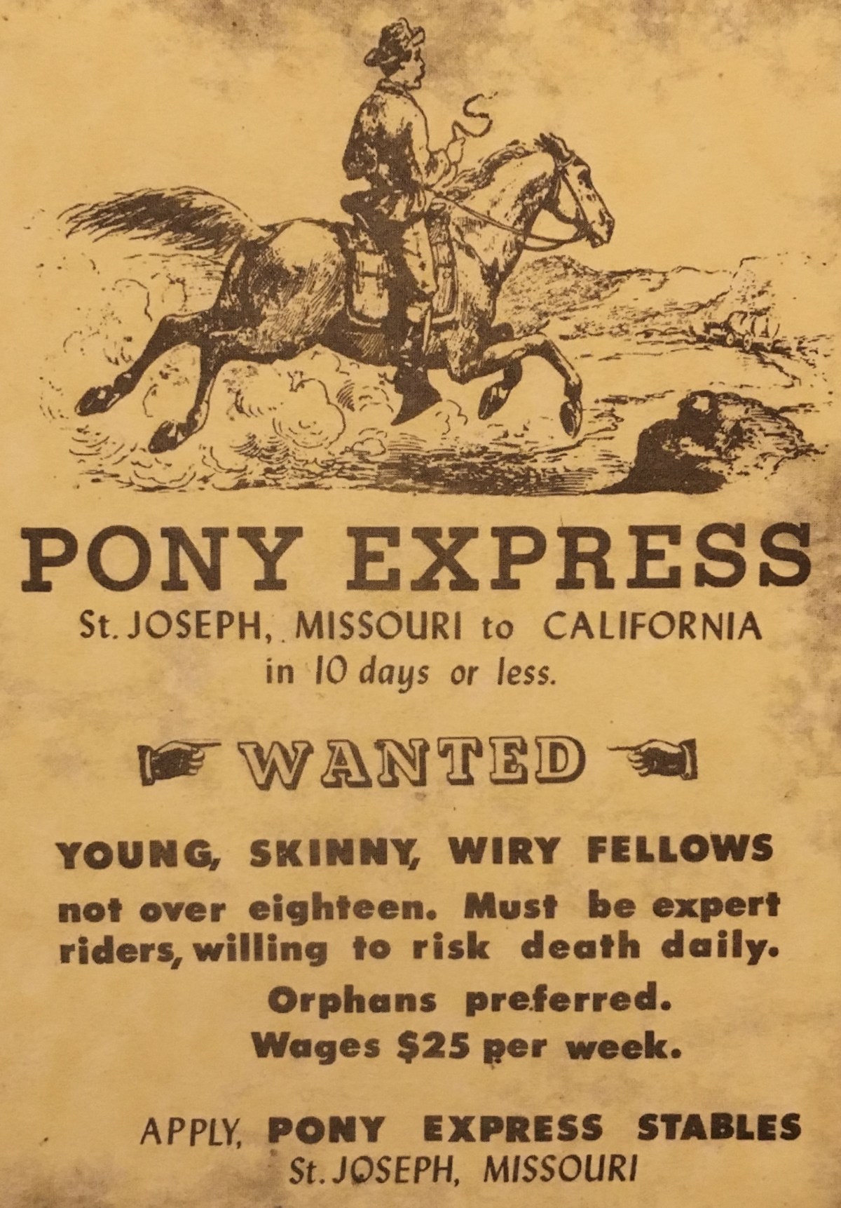 fullsizeoutput_1fa36