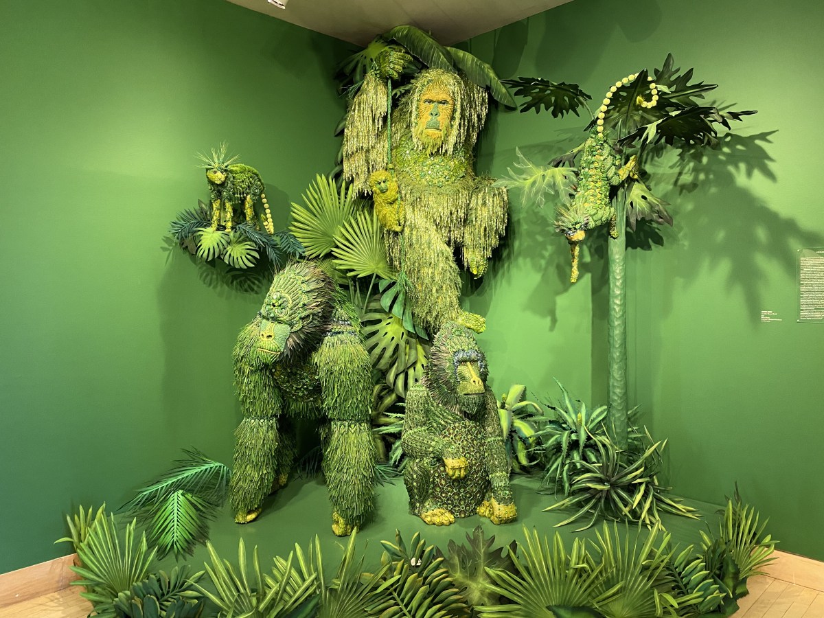 X8tndeMCQ+q3Vliwa7JSsw