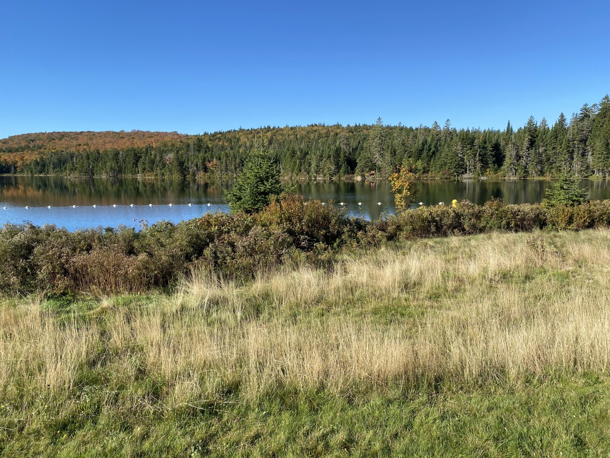 o1emP%mqQTaNkvWFsQphXQ