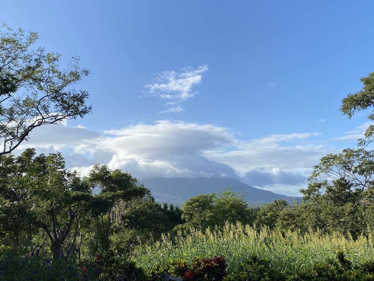 8gMZ9WguTmO5Q4CFHYQYvw