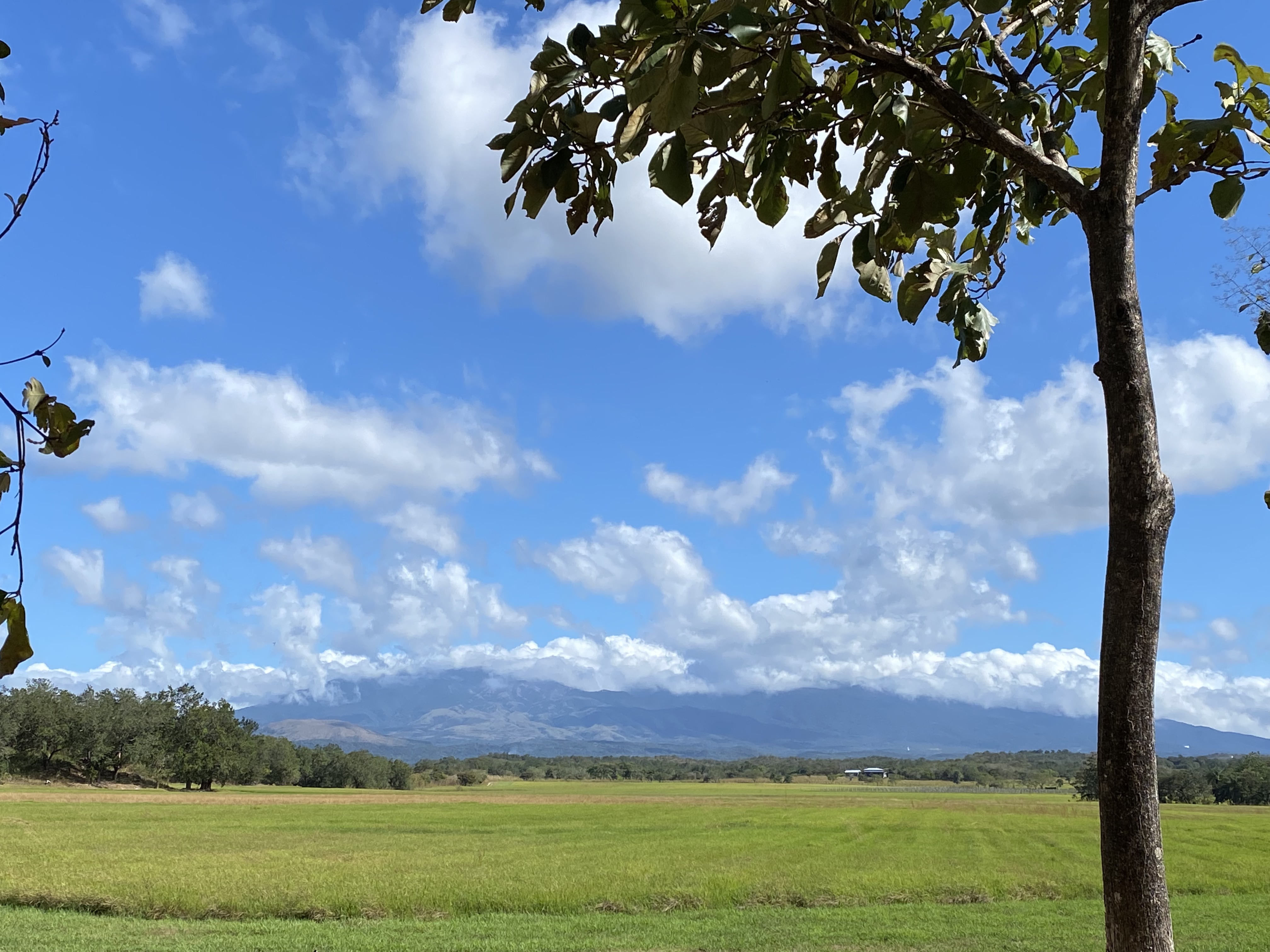 I22KqJHHQSazUNkkCdfSew