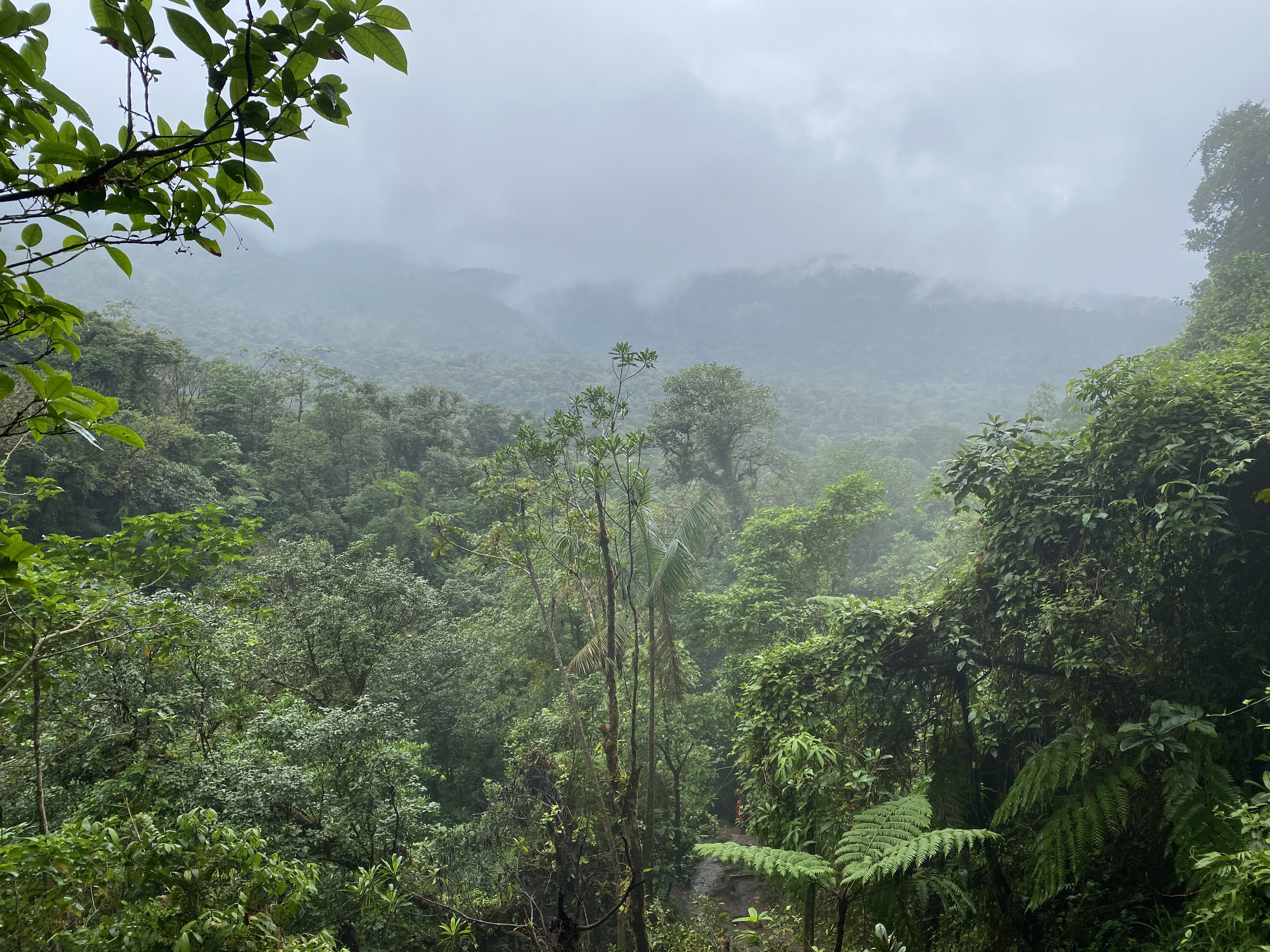 hHYpPnm%TcK1ki7d9zPwWQ