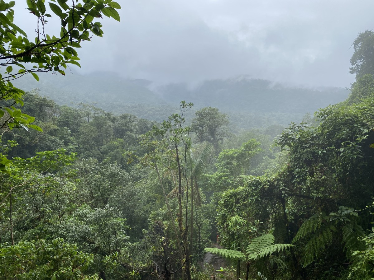 hHYpPnm%TcK1ki7d9zPwWQ