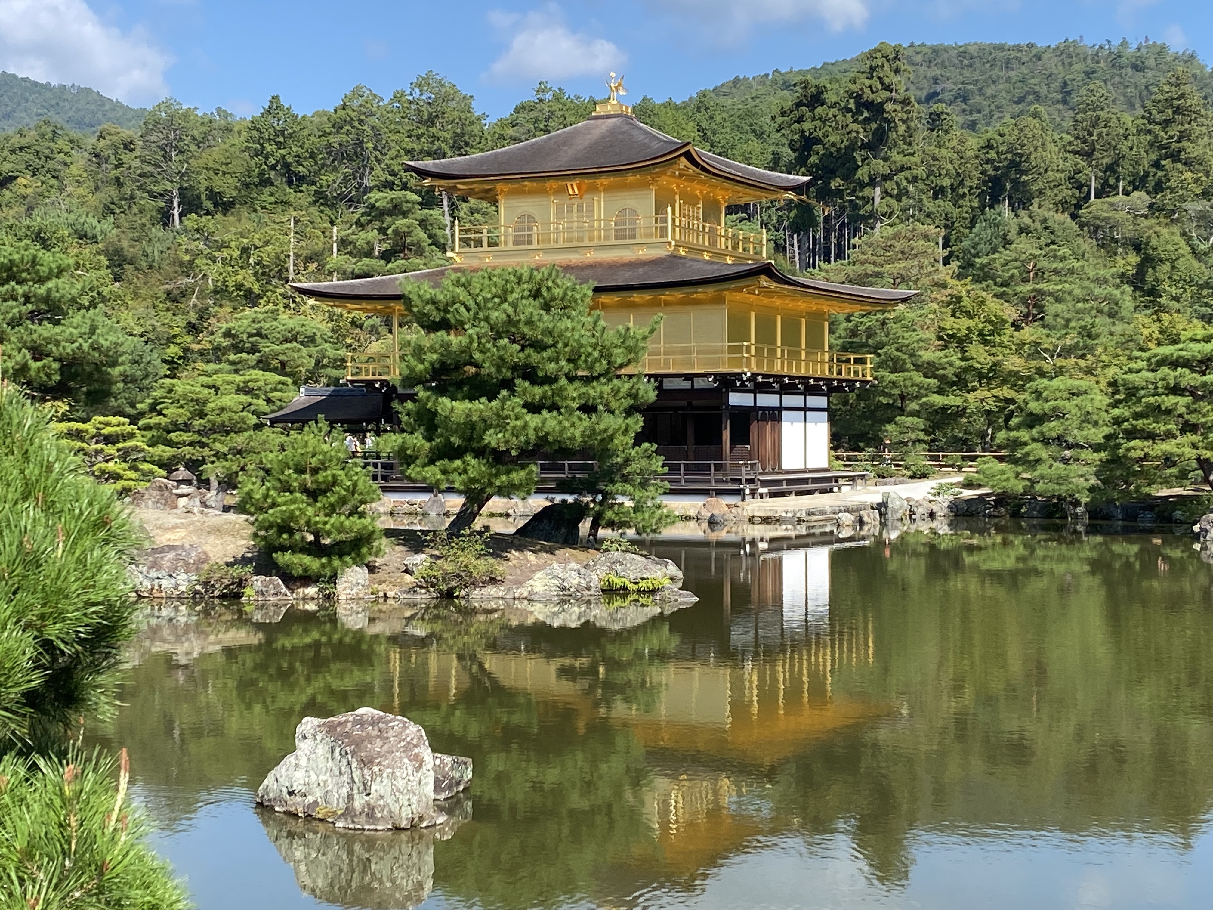 aS71+oCUR+iUJZYR6vHY7A